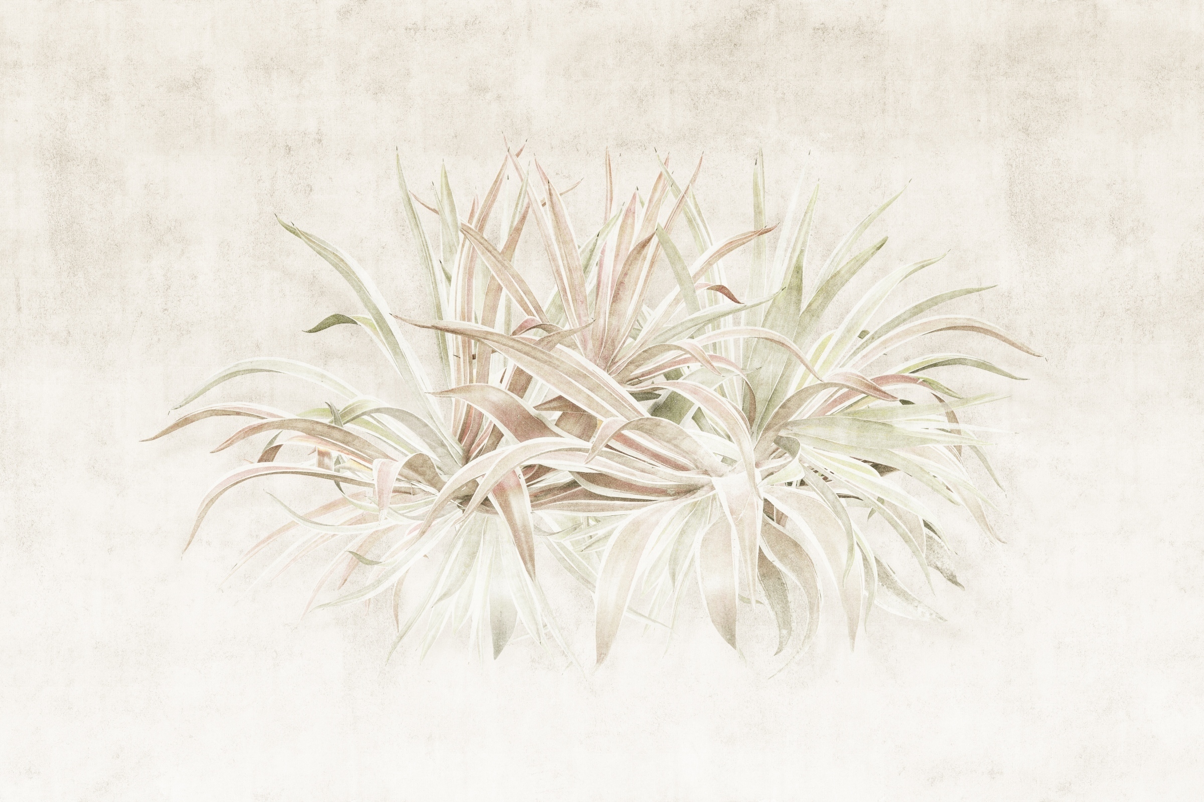 Agawa – Dekorami
