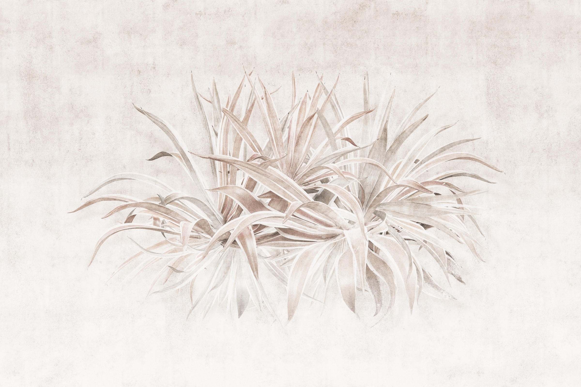 Agawa – Dekorami