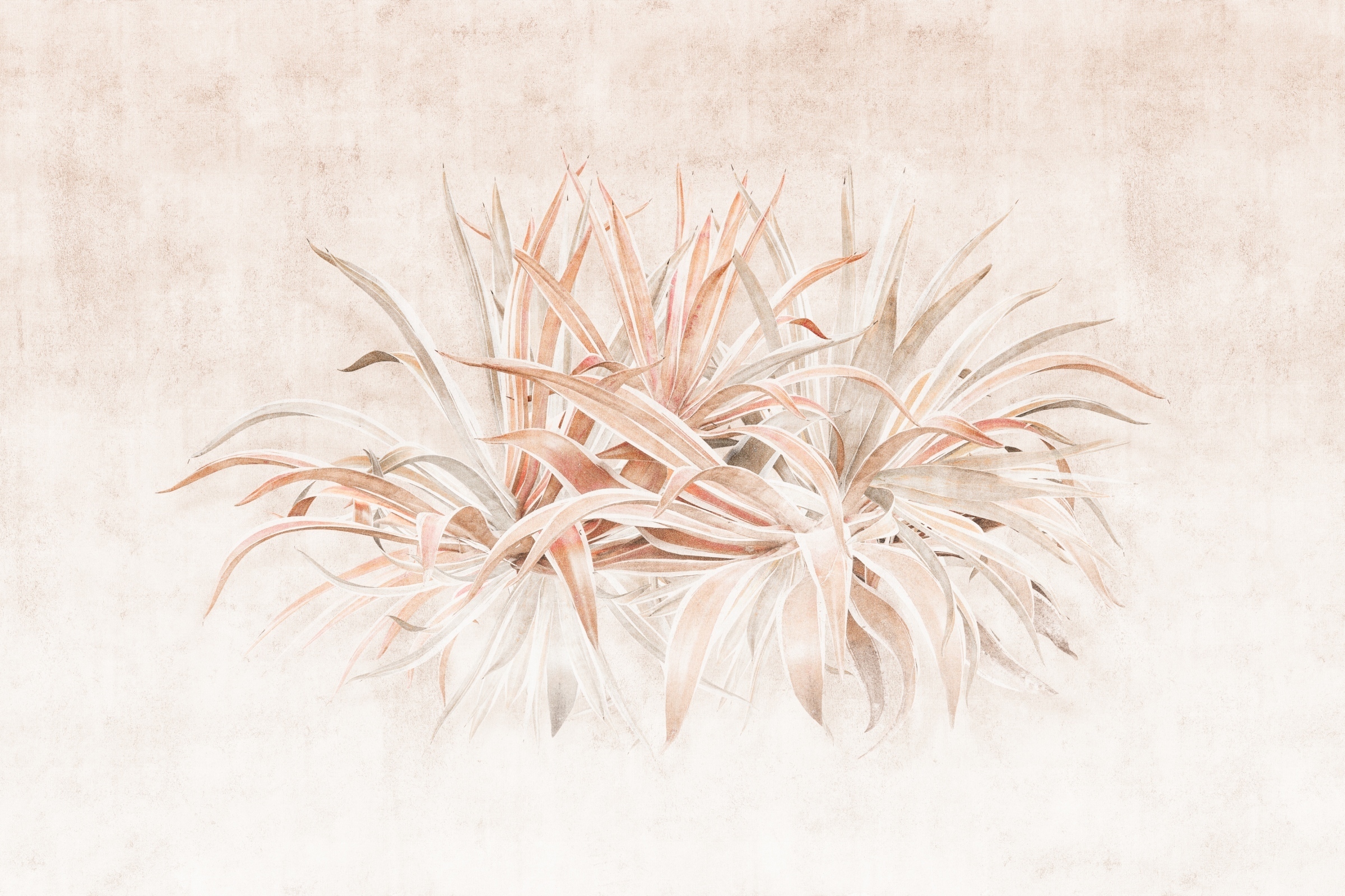 Agawa – Dekorami