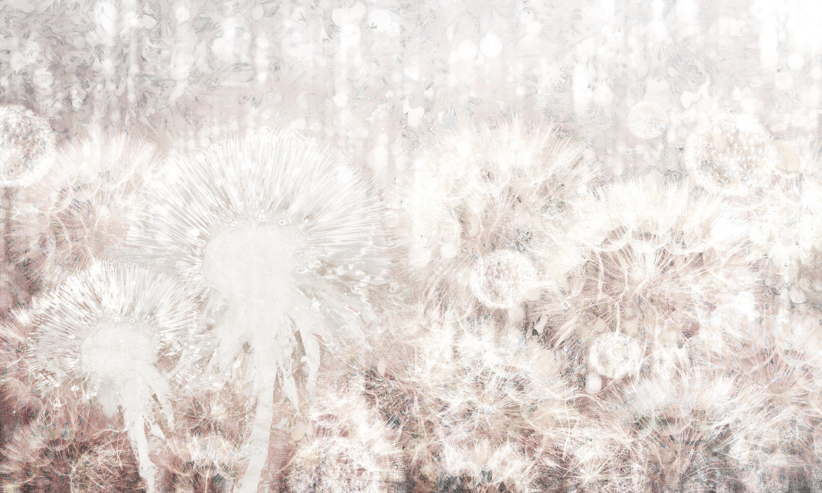 Dandelion – Dekorami