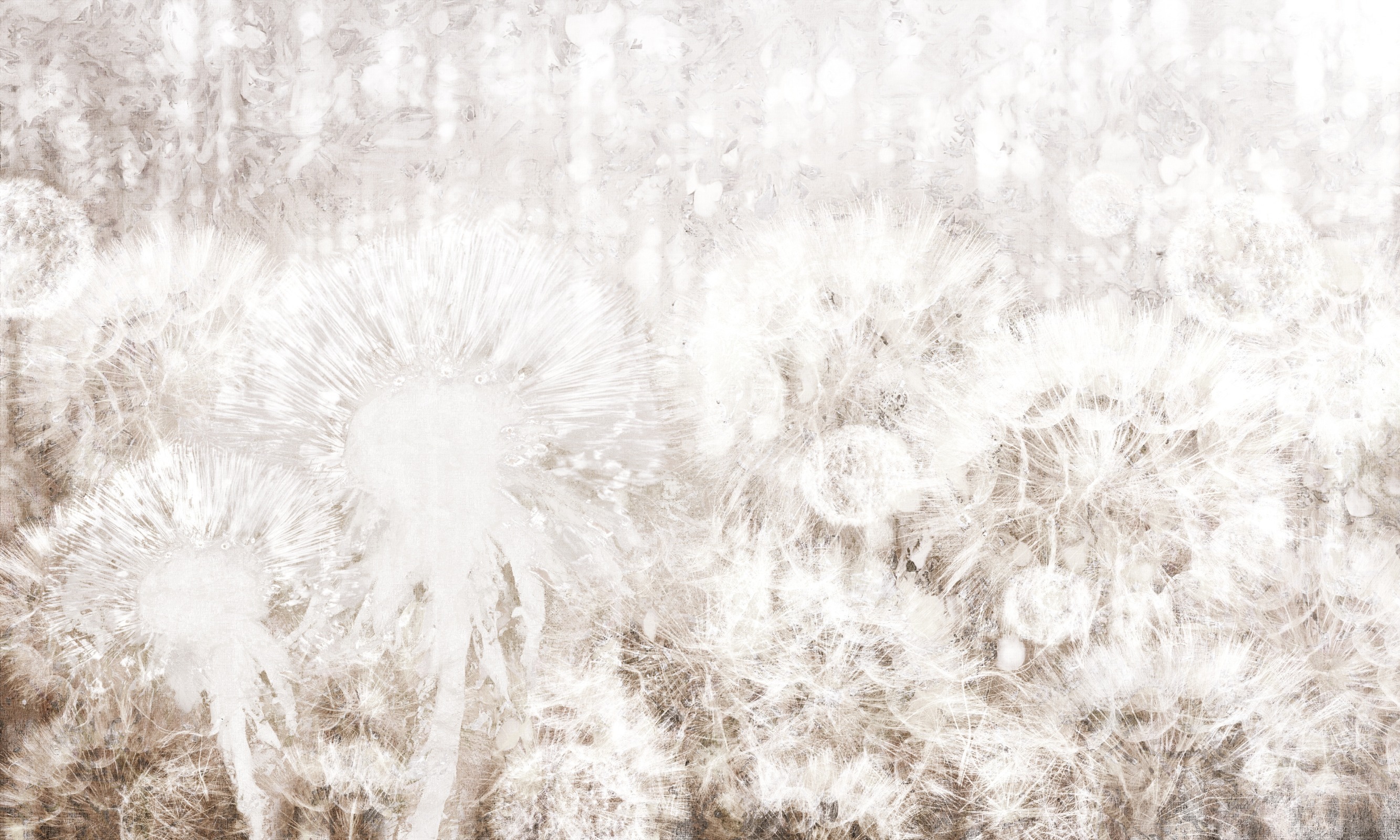 Dandelion – Dekorami
