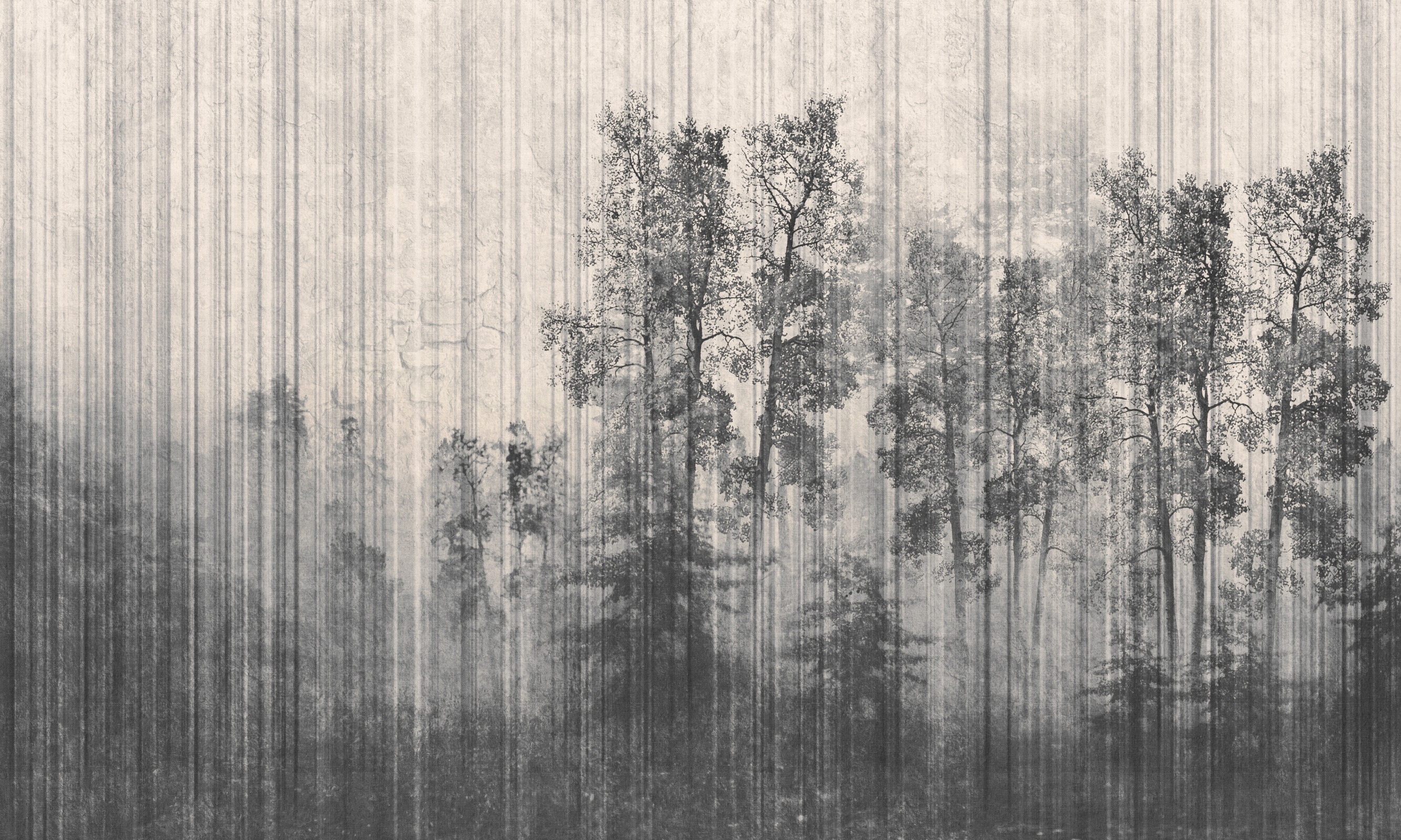 Otula – Dekorami