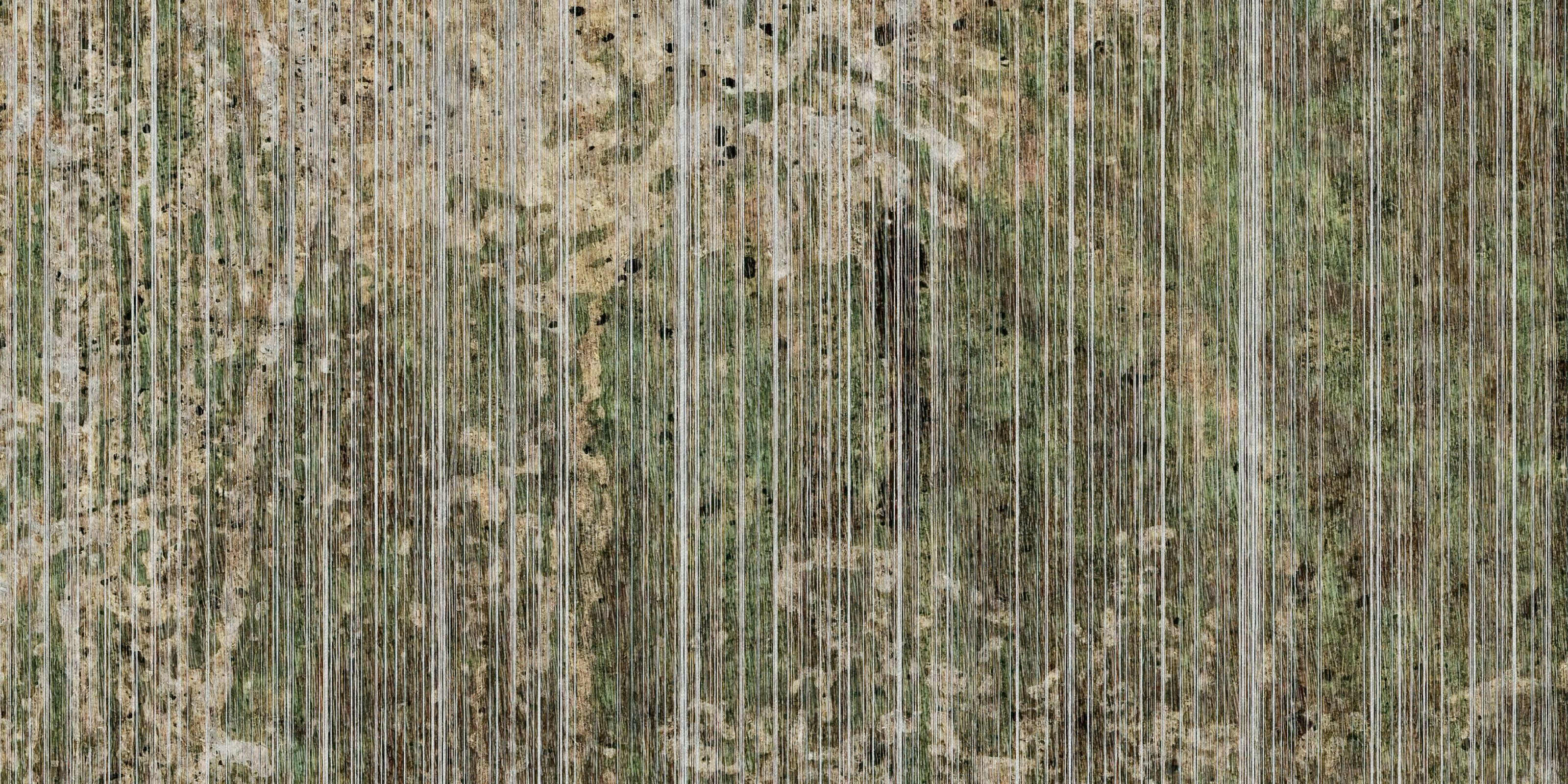 Screen – Dekorami