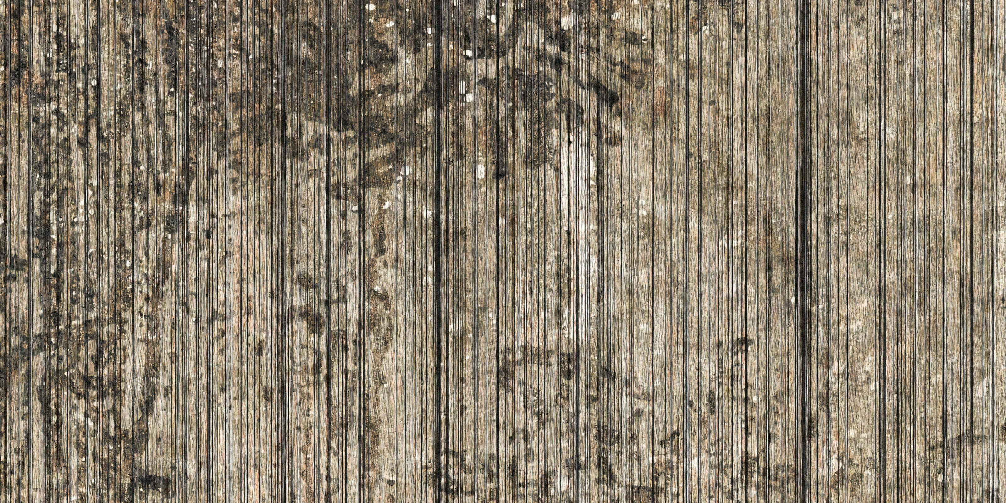 Screen – Dekorami