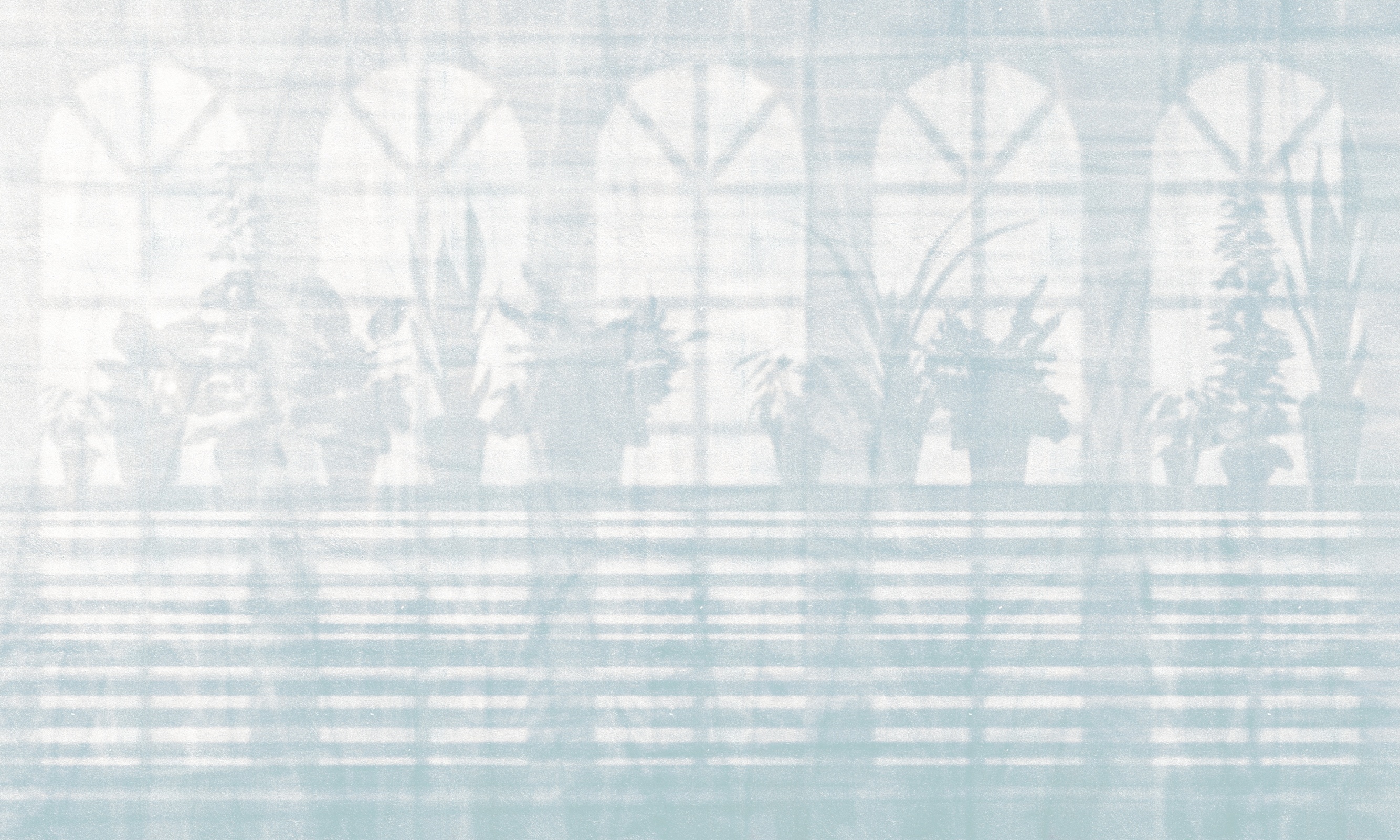 Shadow – Dekorami
