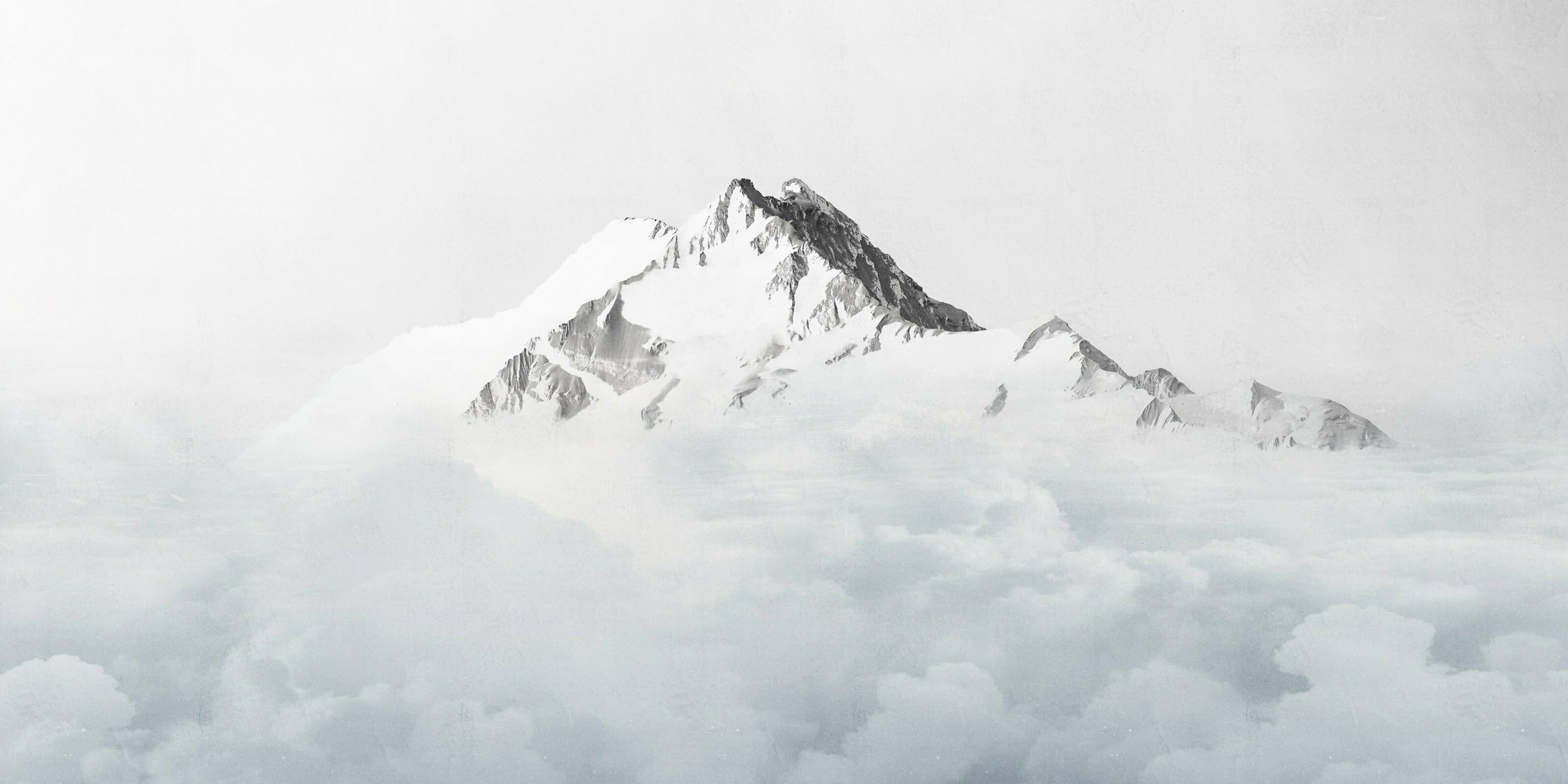 Absolute – Dekorami