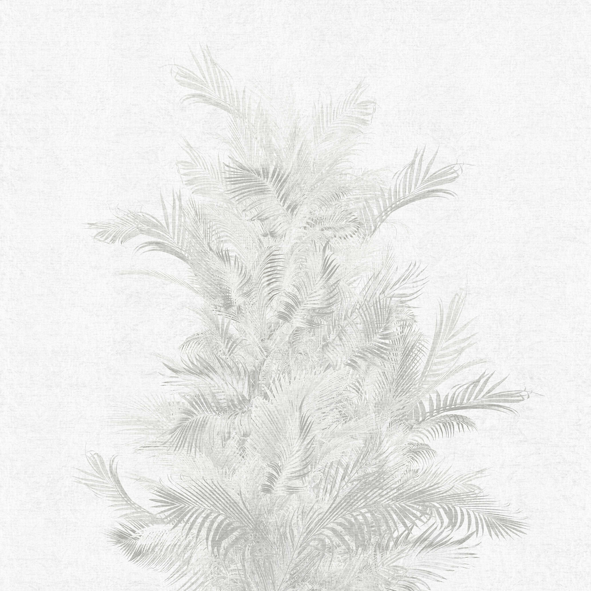 Areca – Dekorami