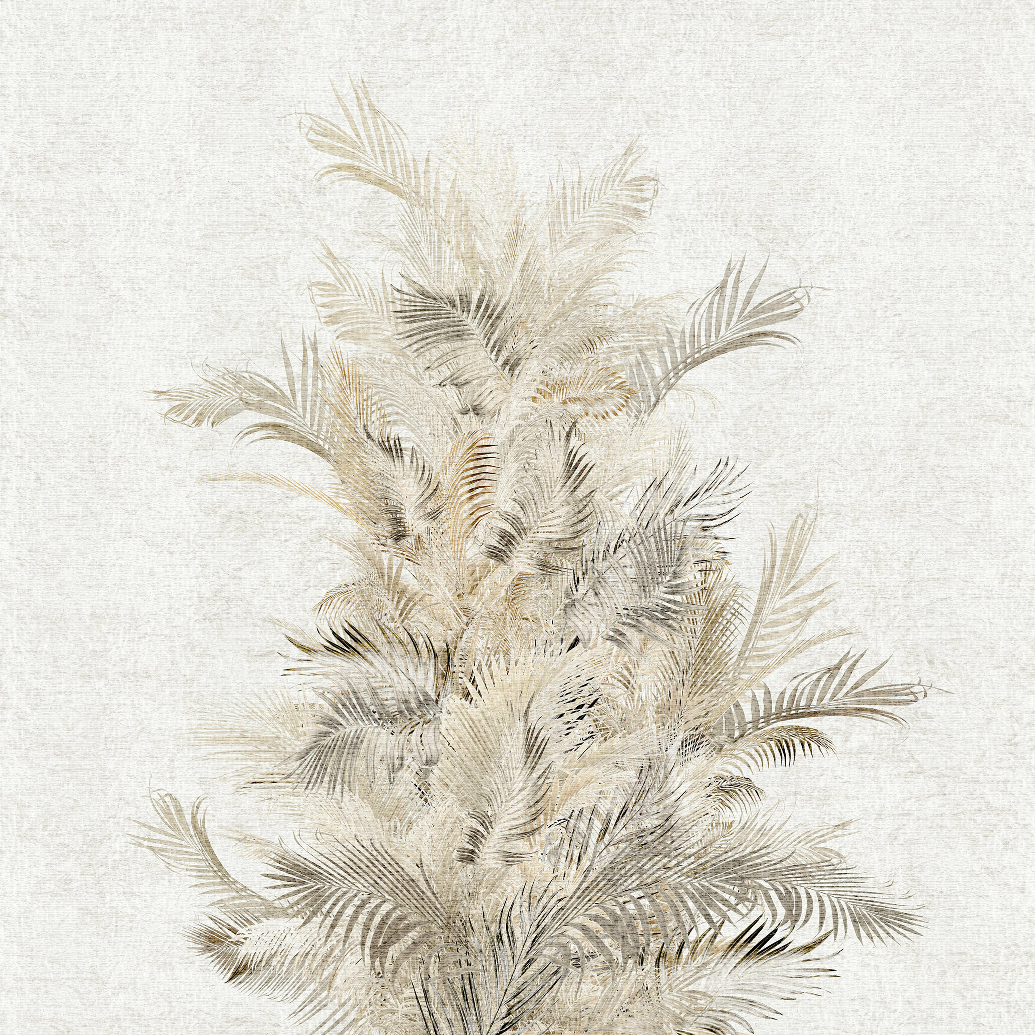 Areca – Dekorami
