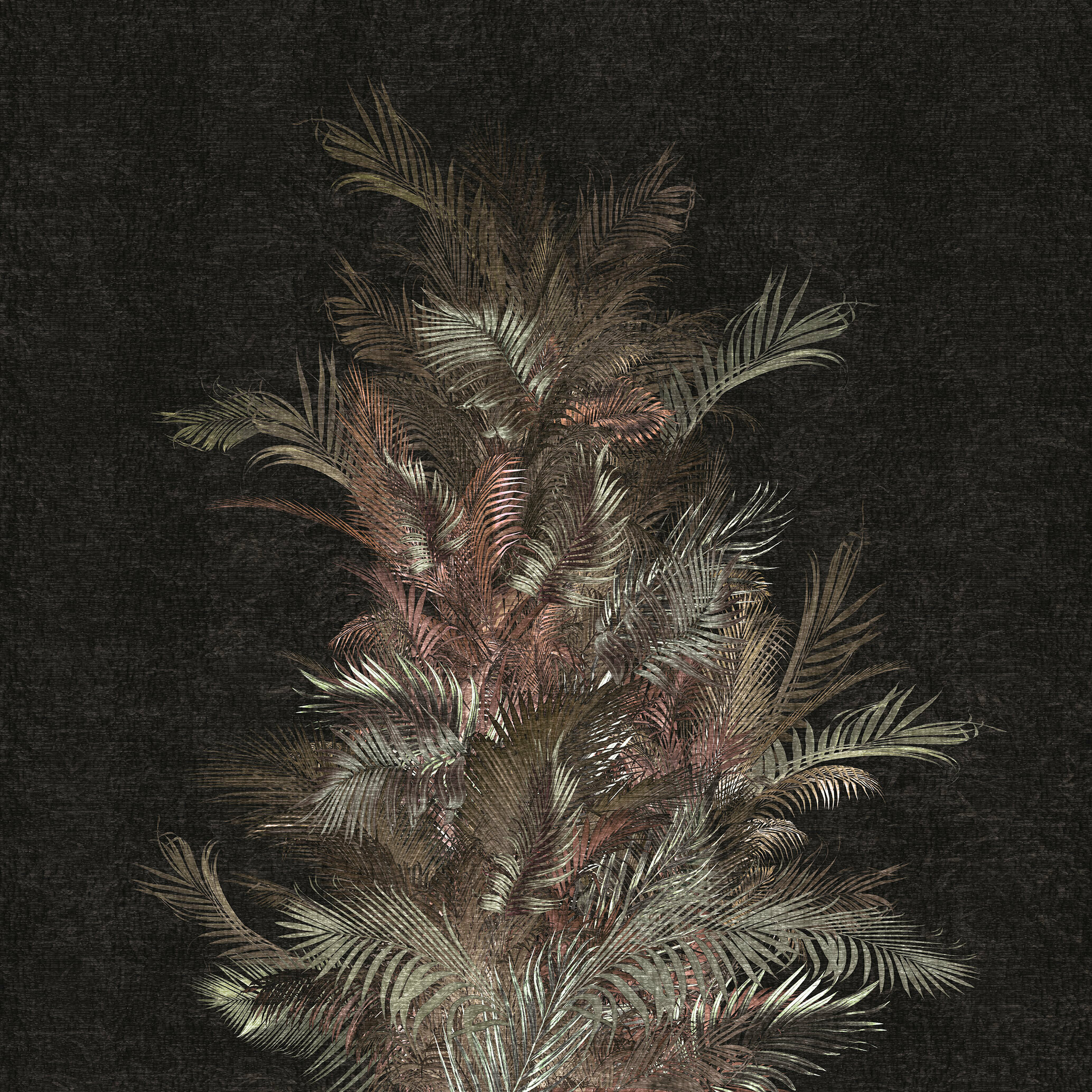 Areca – Dekorami