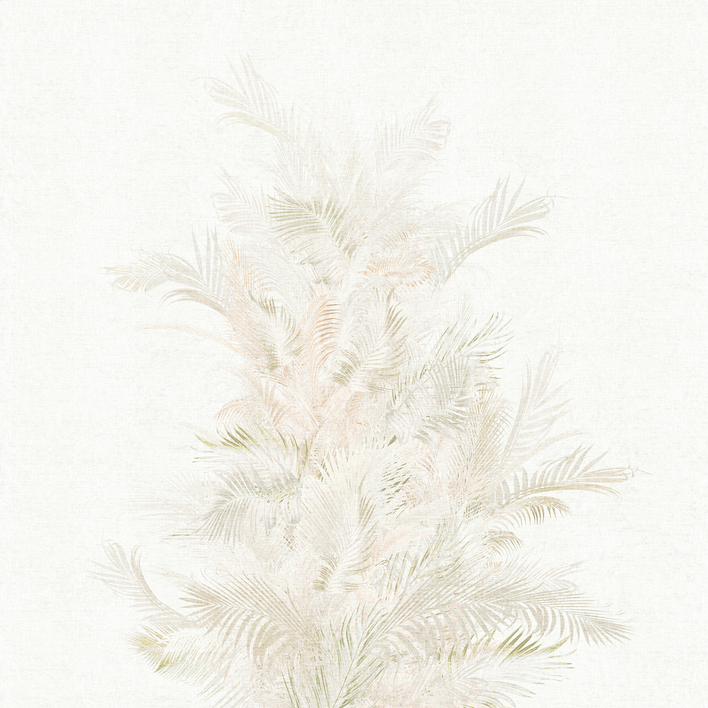 Areca – Dekorami