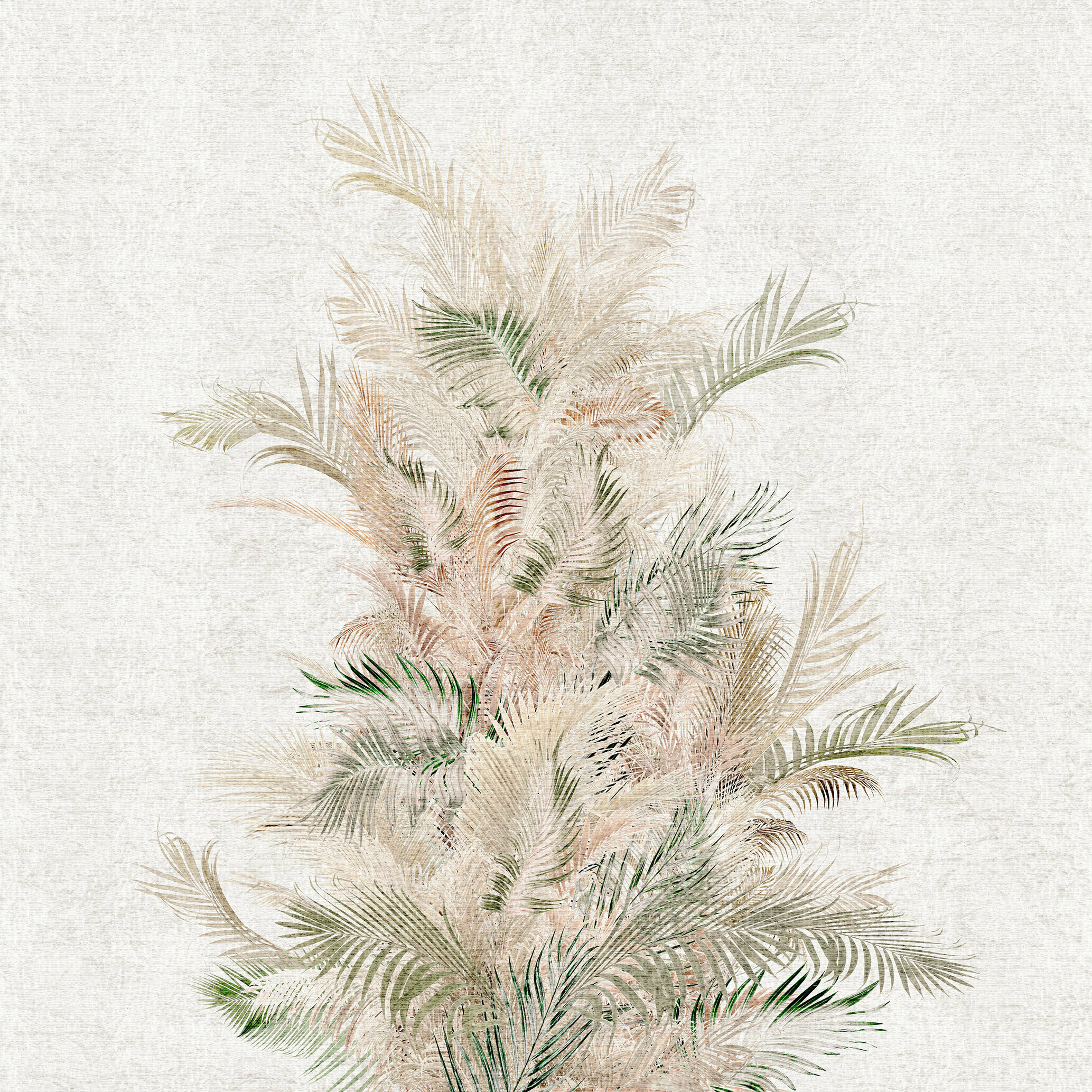 Areca – Dekorami