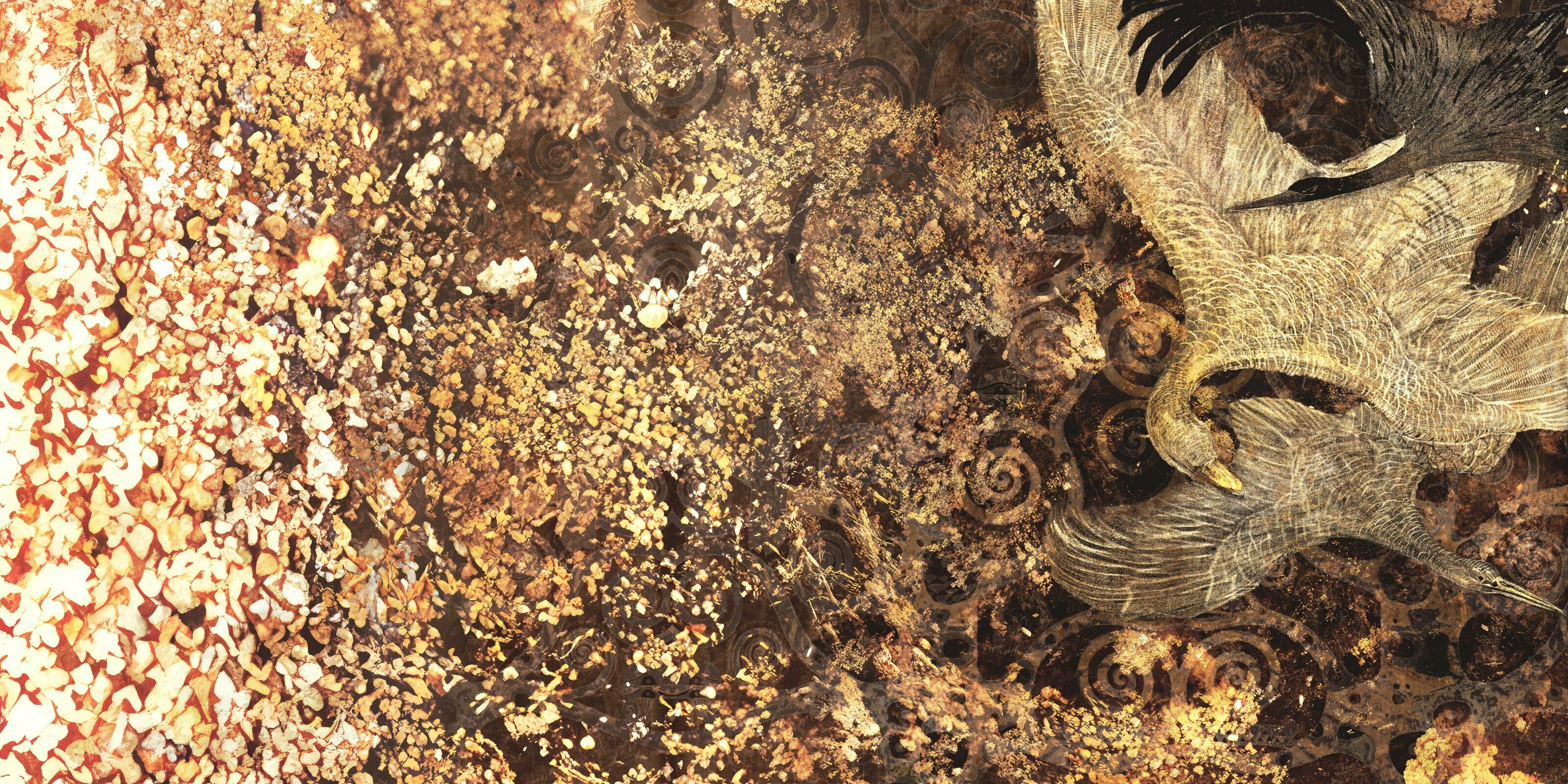 Art Fusion – Dekorami
