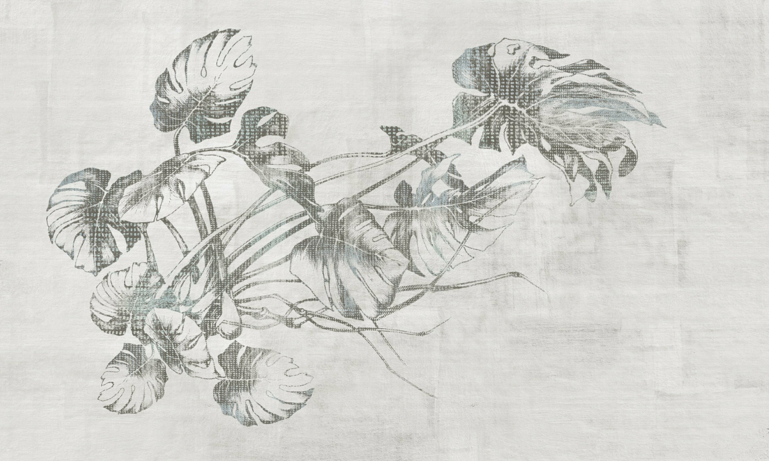 Deli – Dekorami