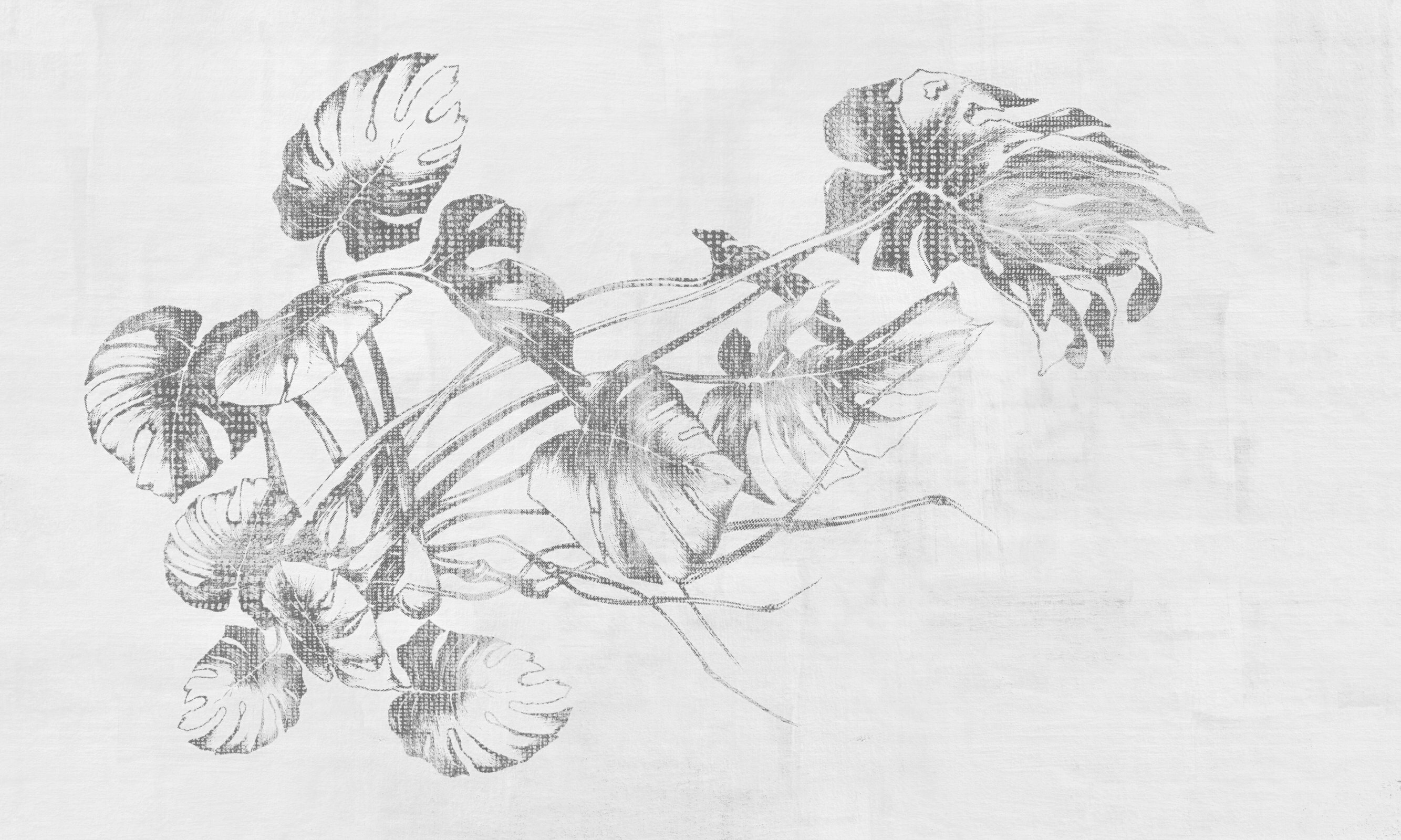 Deli – Dekorami