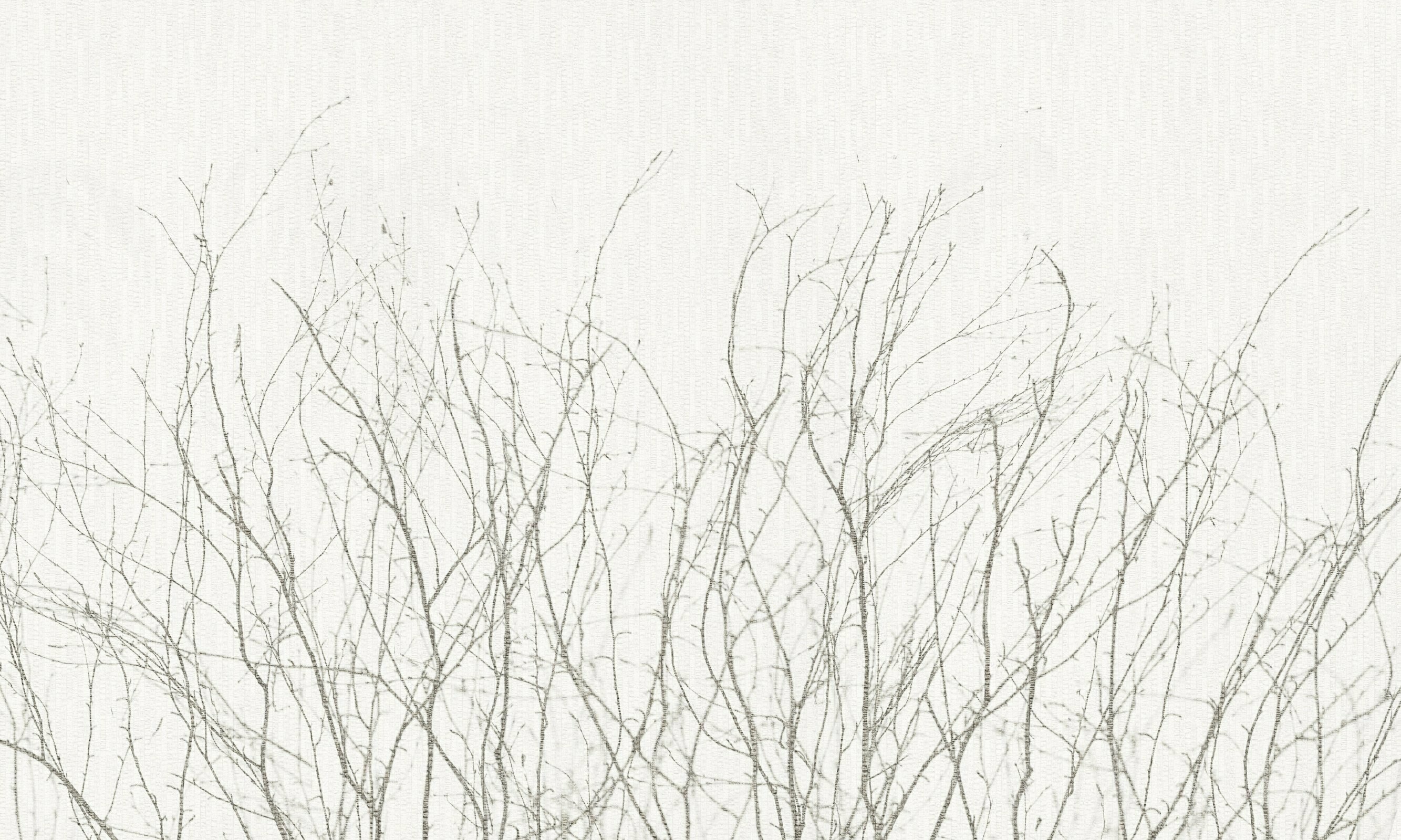 Novembre – Dekorami