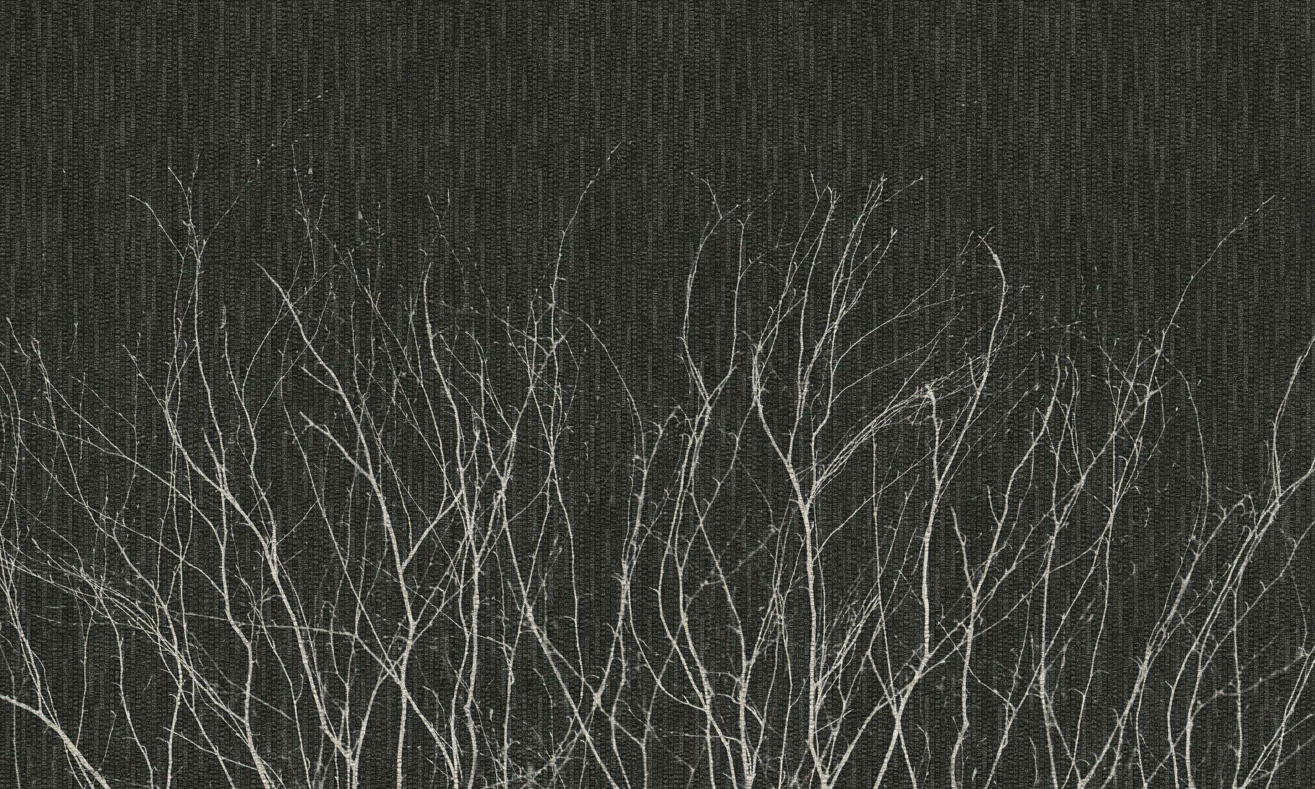 Novembre – Dekorami