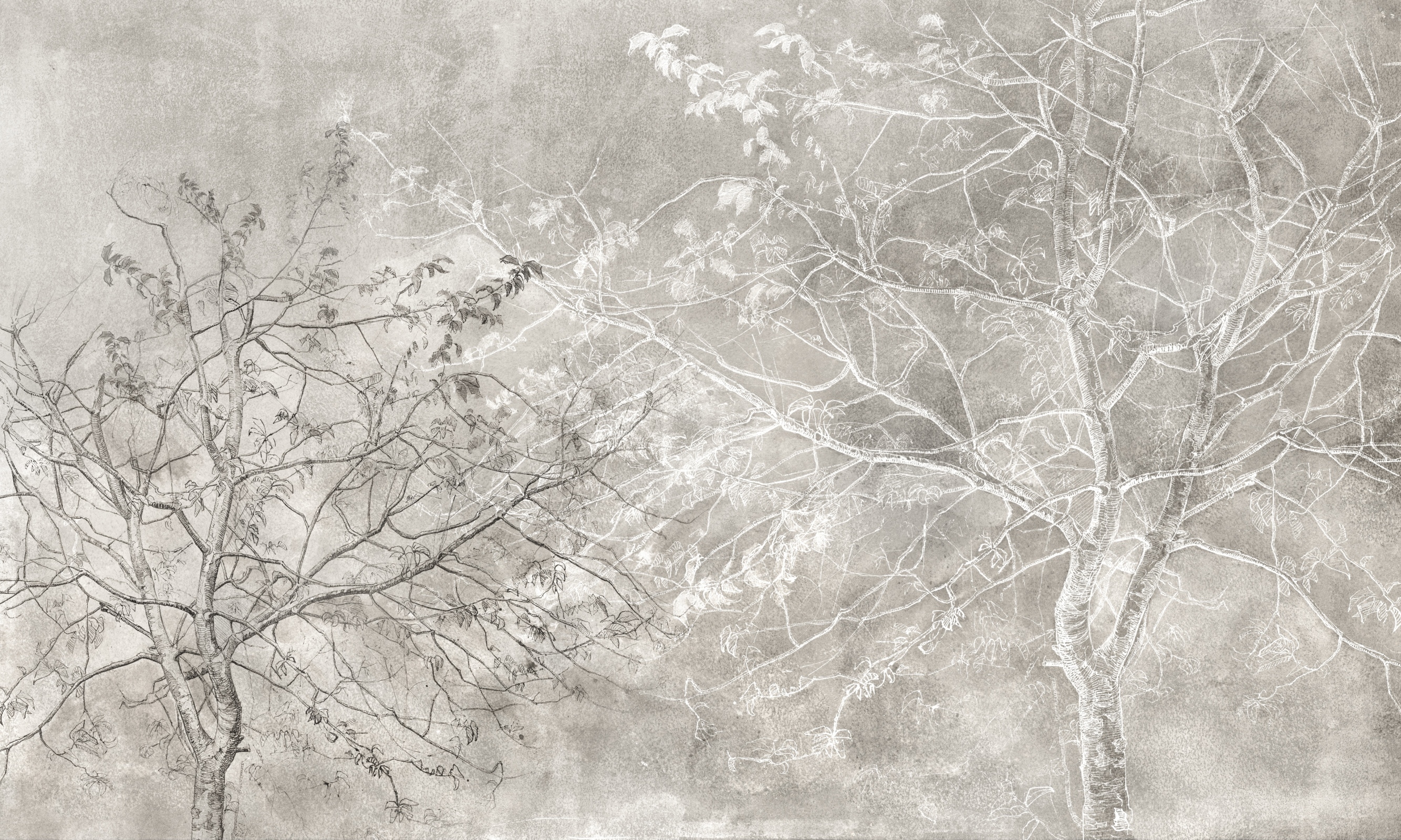 Novembre – Dekorami