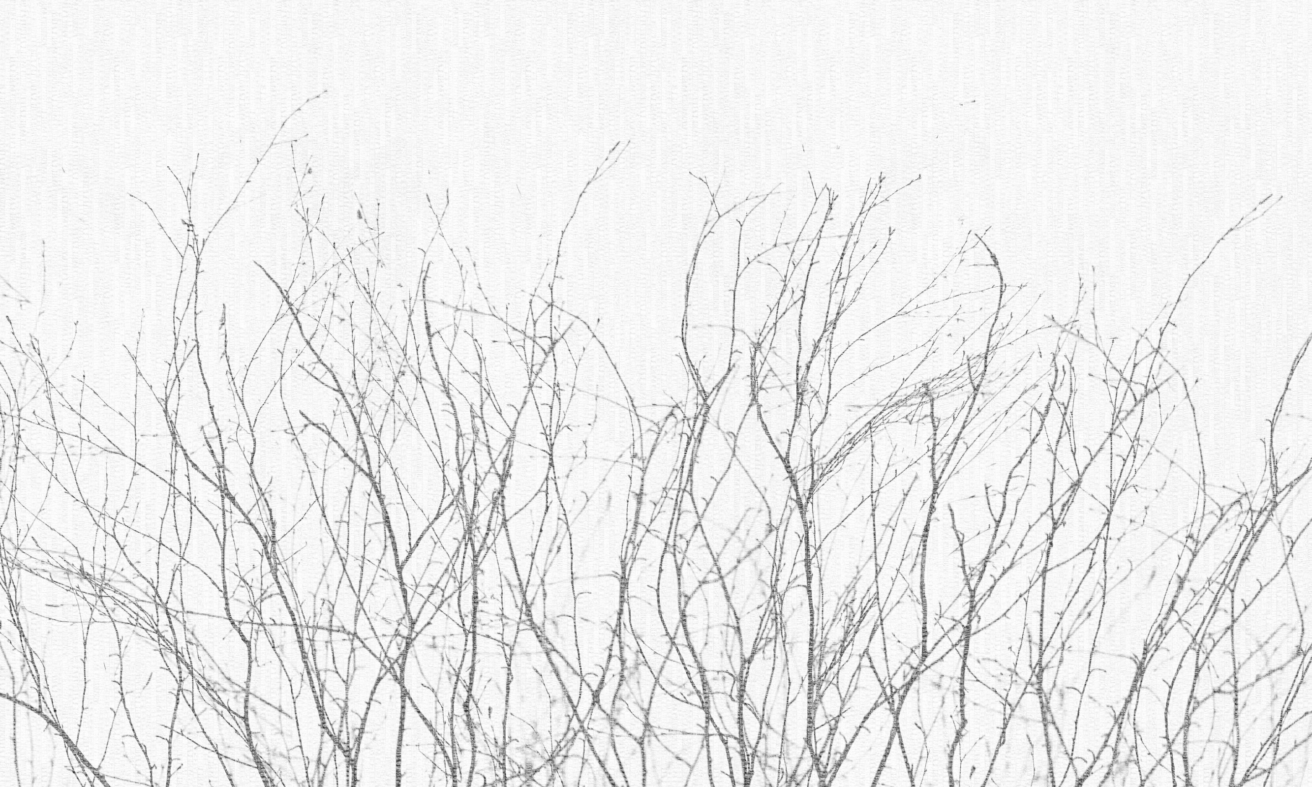 Novembre – Dekorami