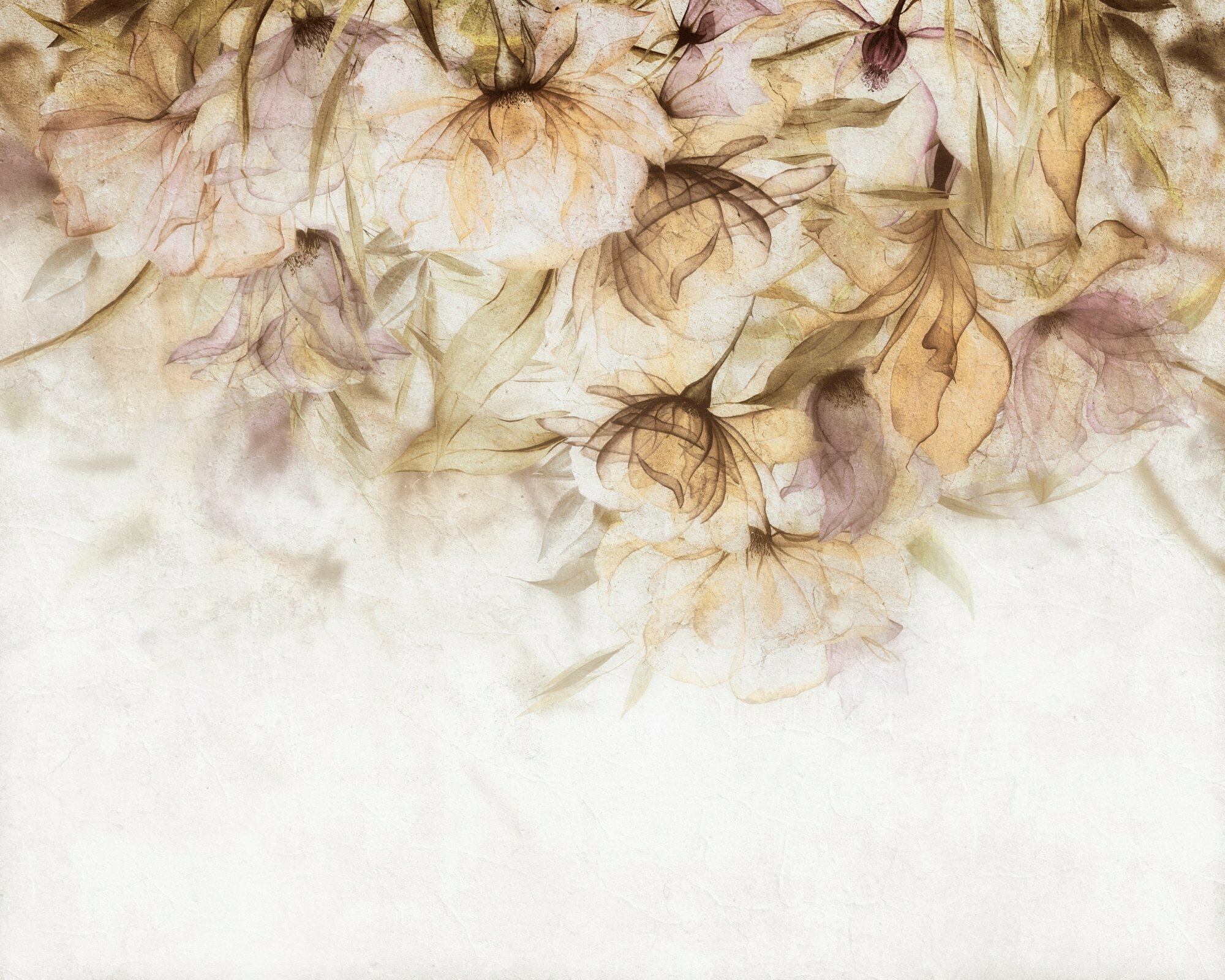 Xray – Dekorami