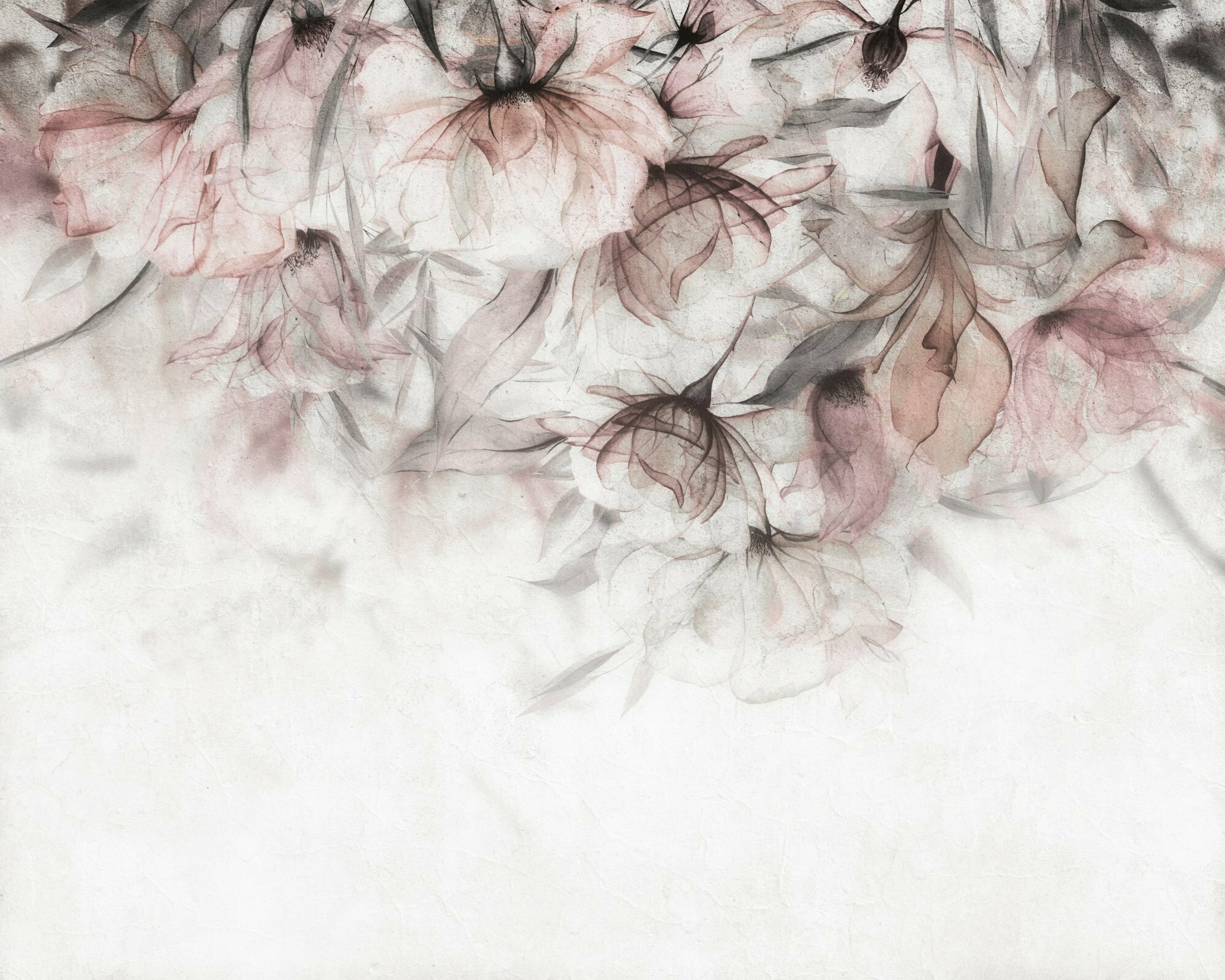 Xray – Dekorami