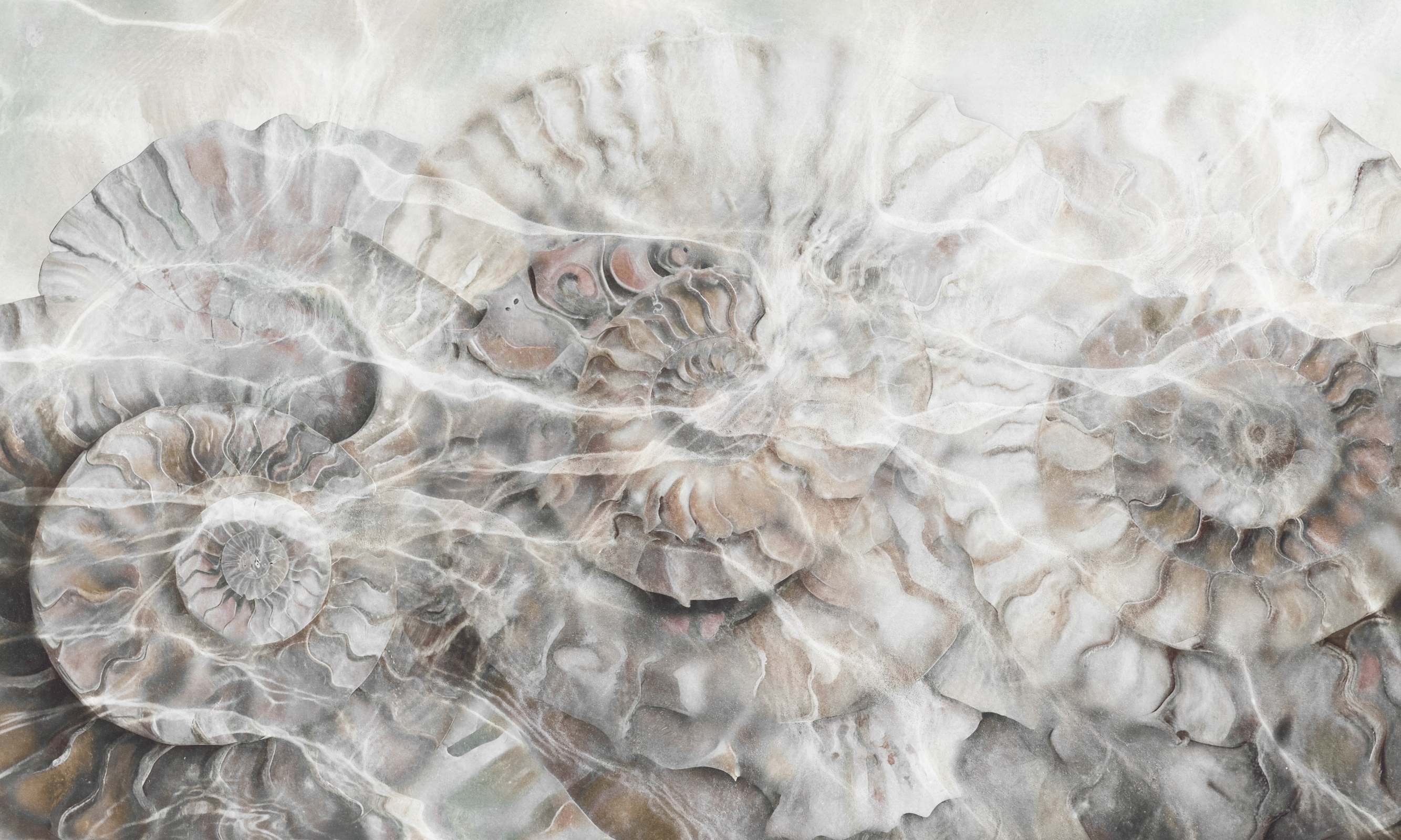 Clear Water – Dekorami