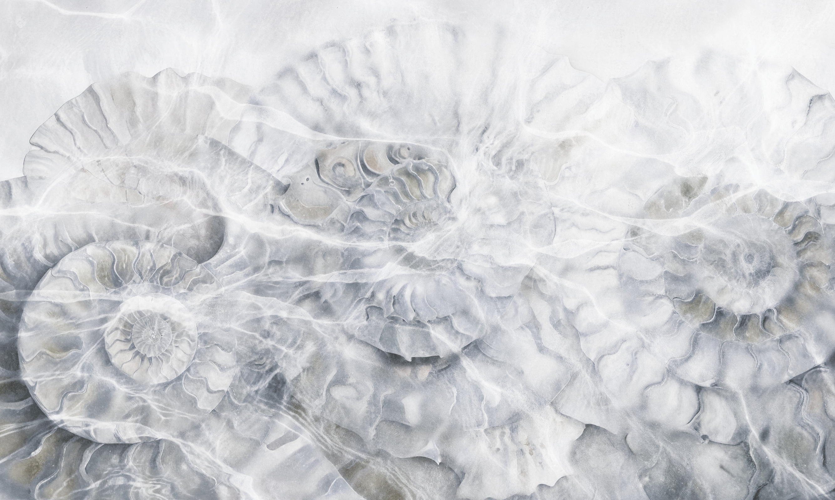 Clear Water – Dekorami
