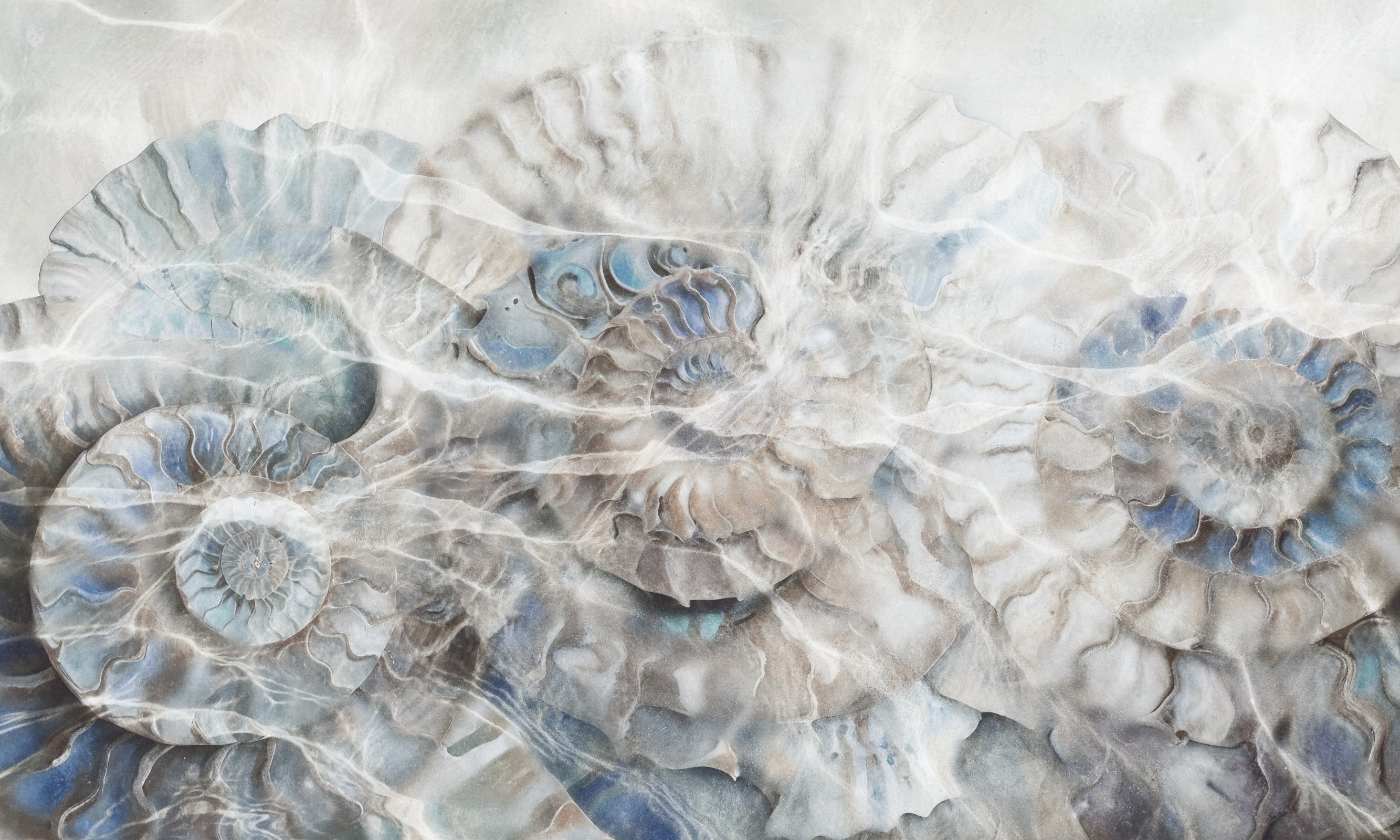 Clear Water – Dekorami