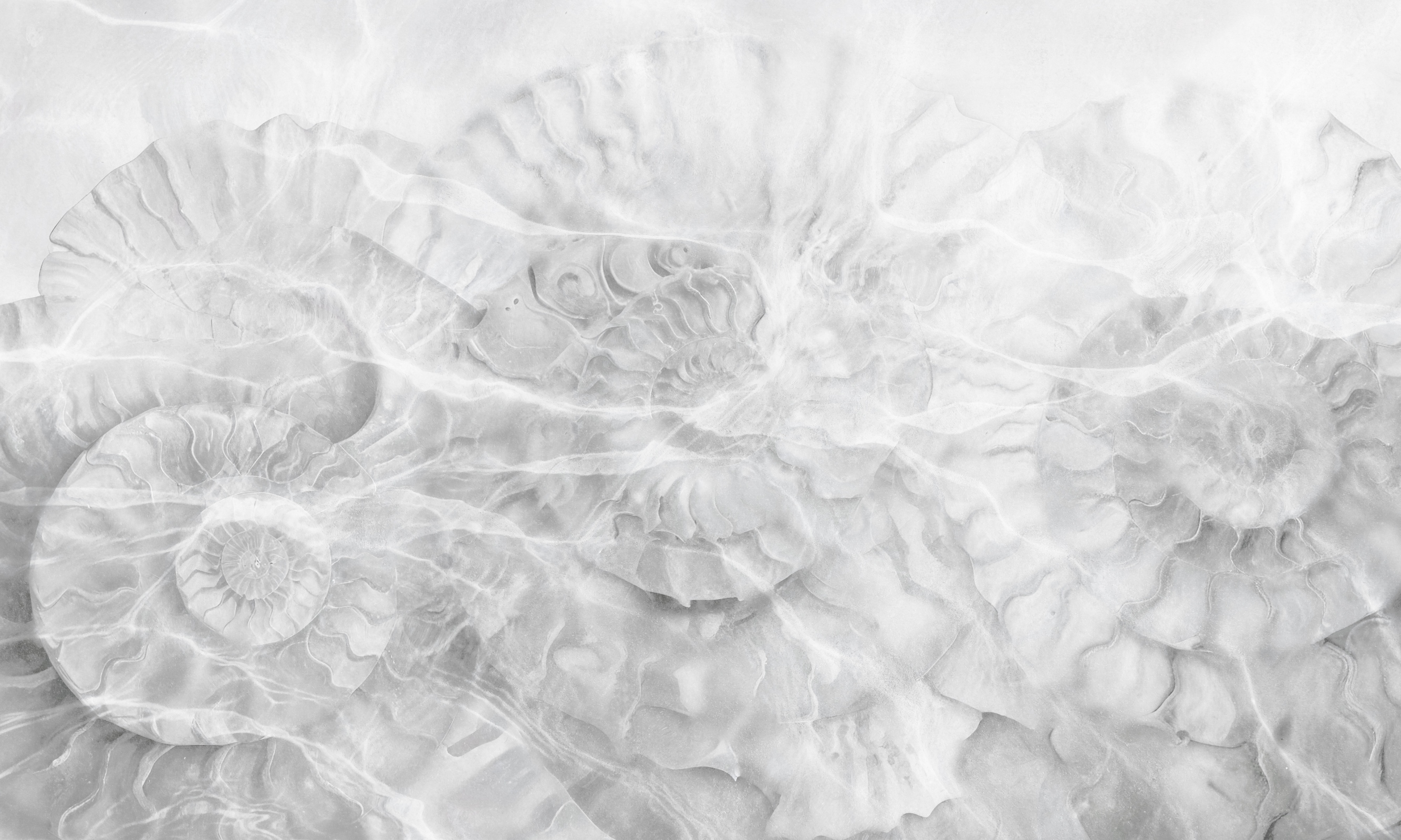 Clear Water – Dekorami