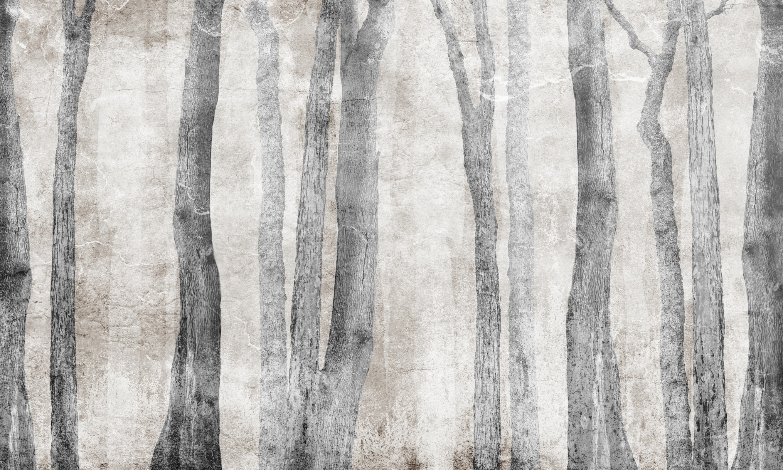 Woody – Dekorami