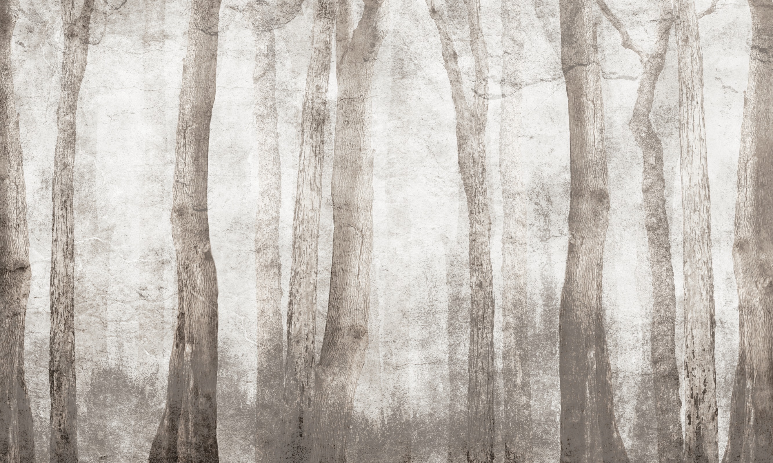 Woody – Dekorami