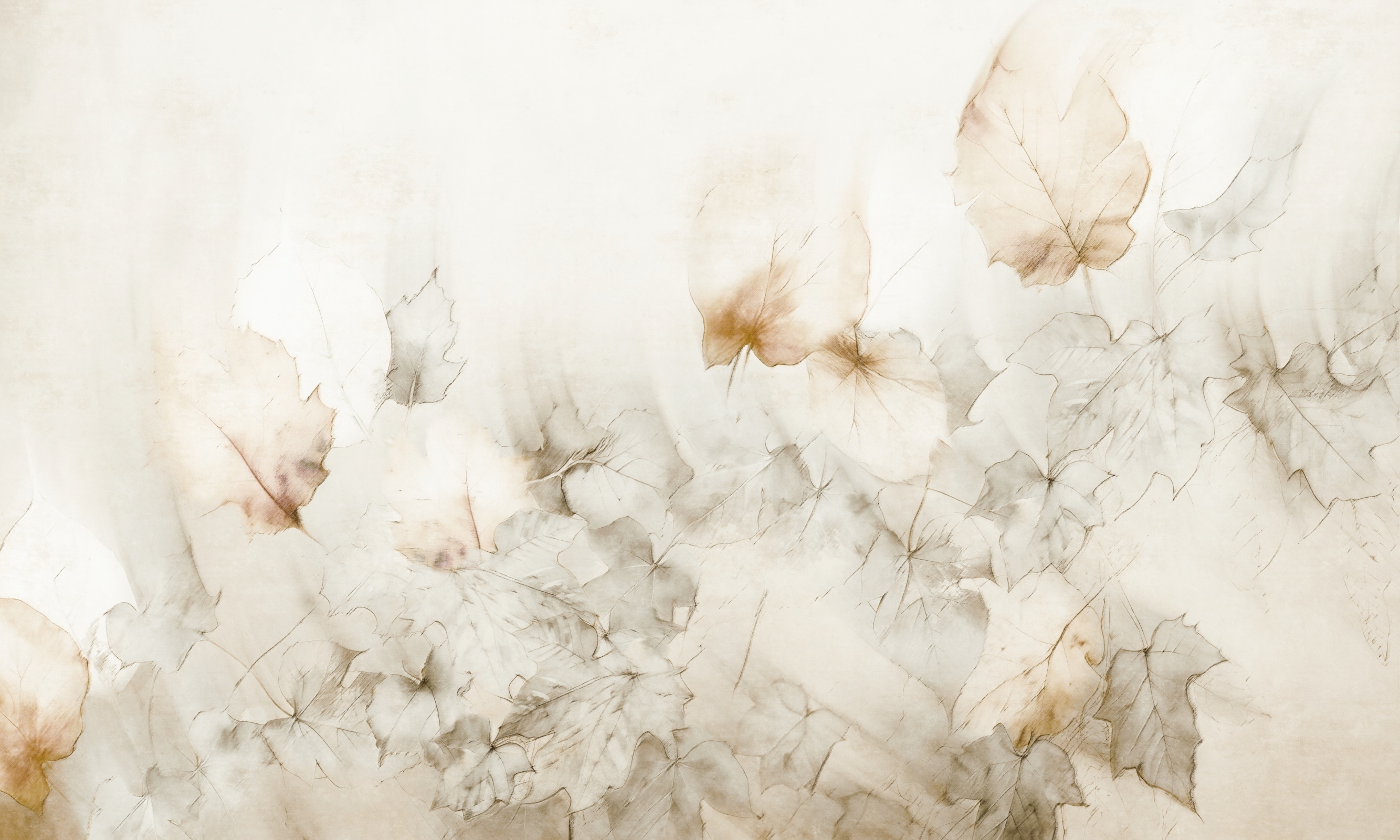 Memoir – Dekorami