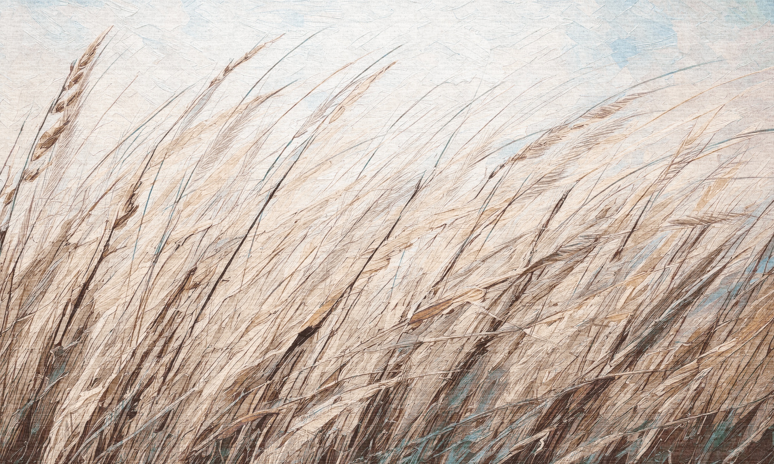 Shum – Dekorami