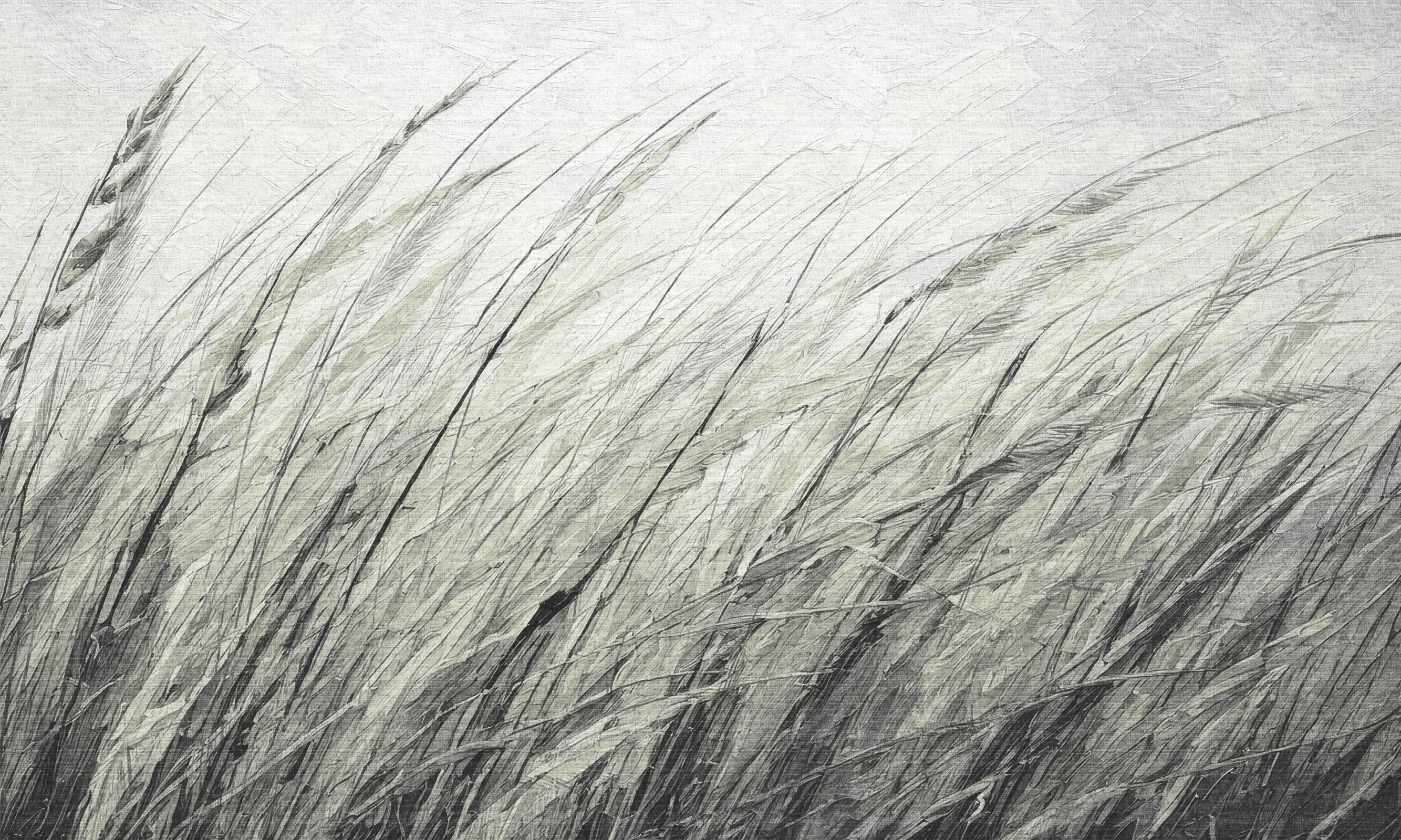 Shum – Dekorami