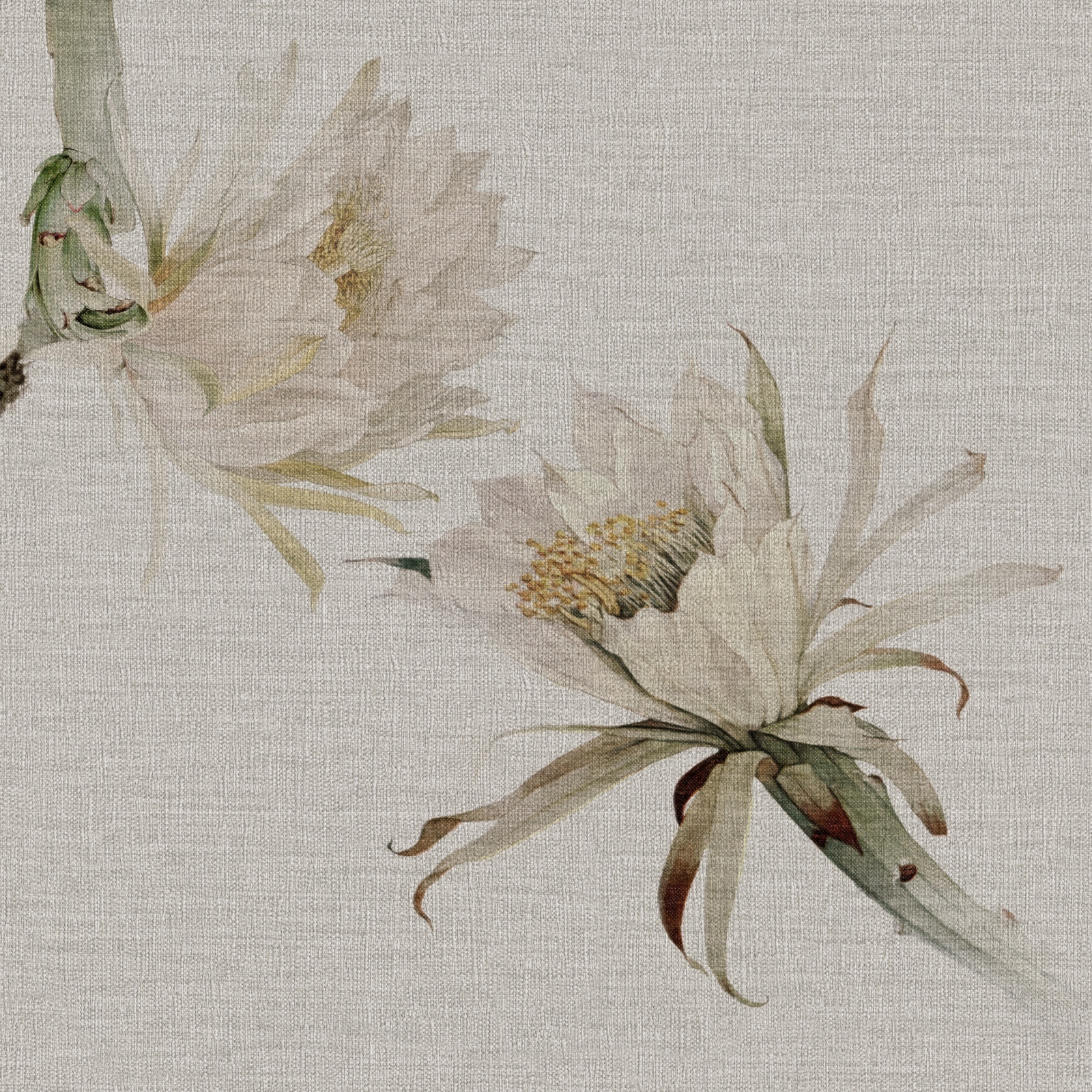 a.Zara – Dekorami