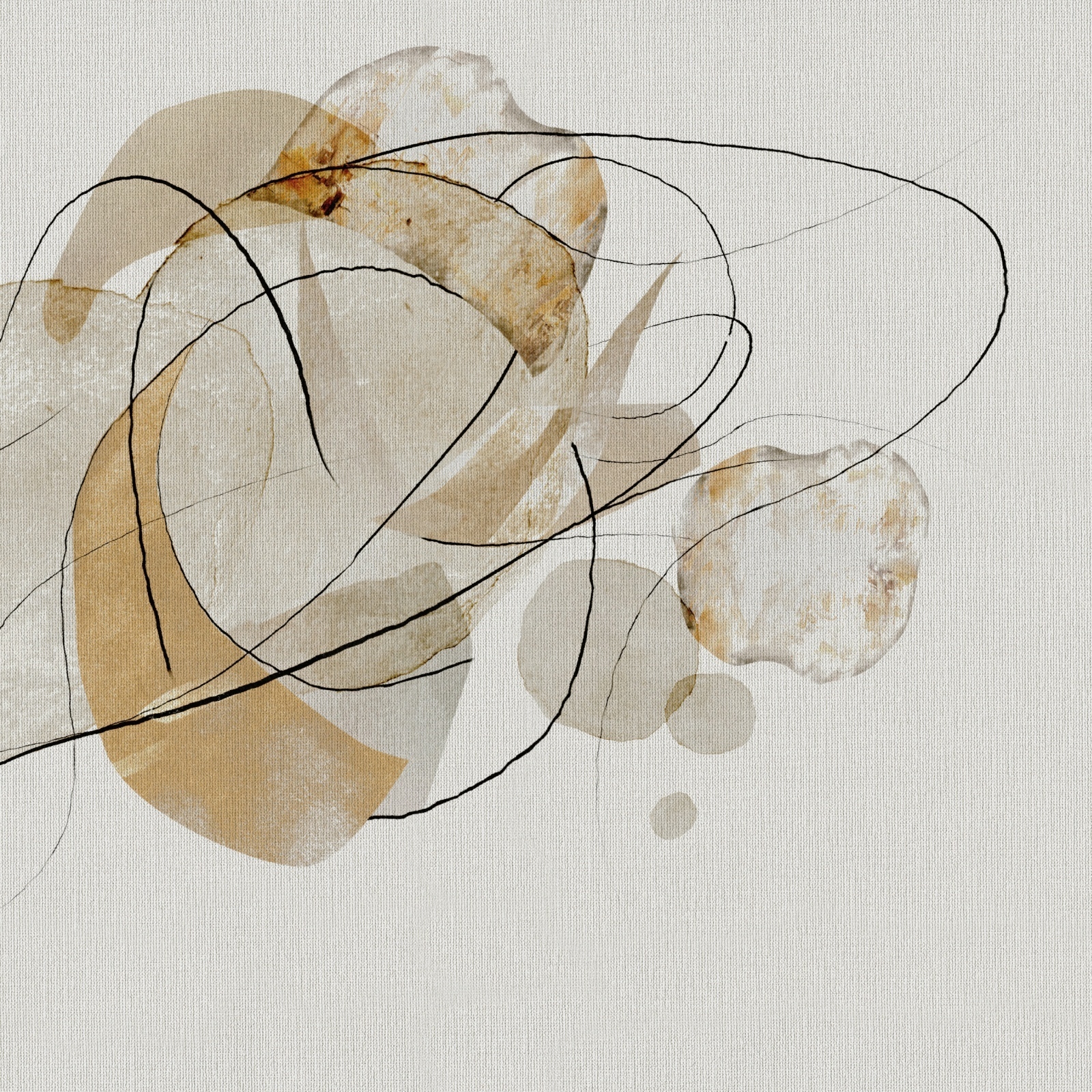 Amber – Dekorami