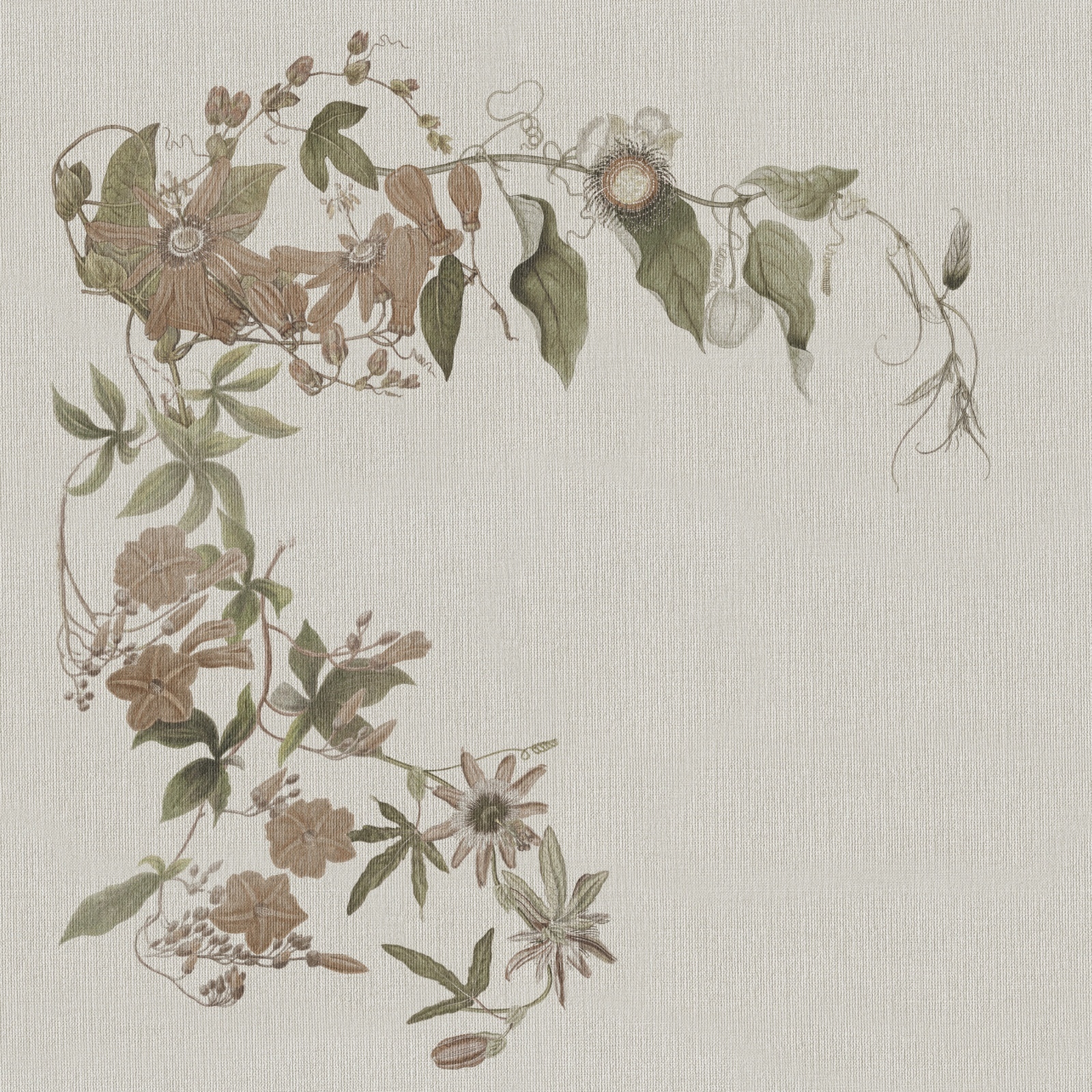 Ivy – Dekorami