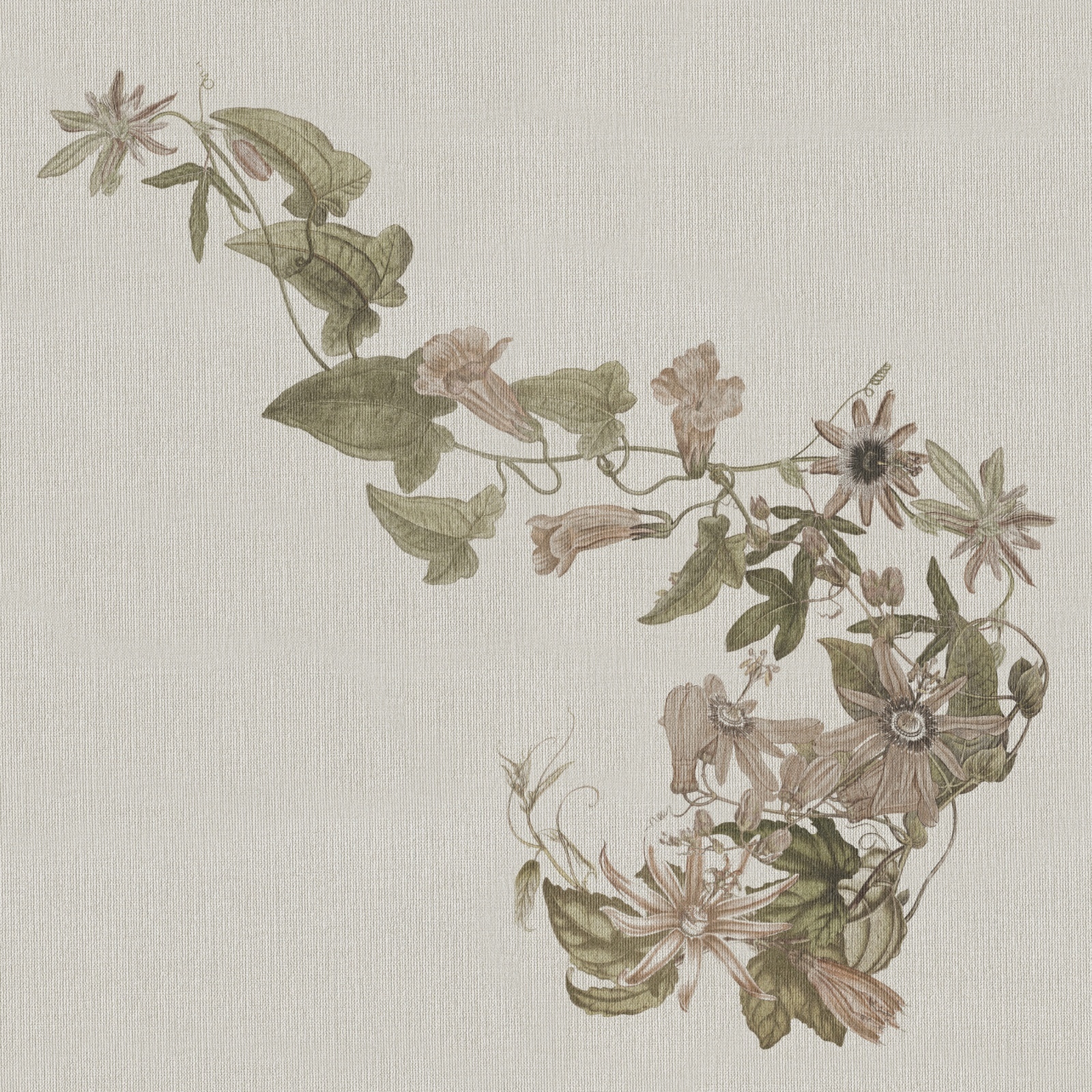 Ivy – Dekorami