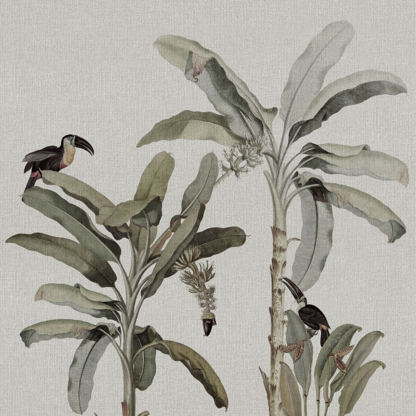Zazu – Dekorami