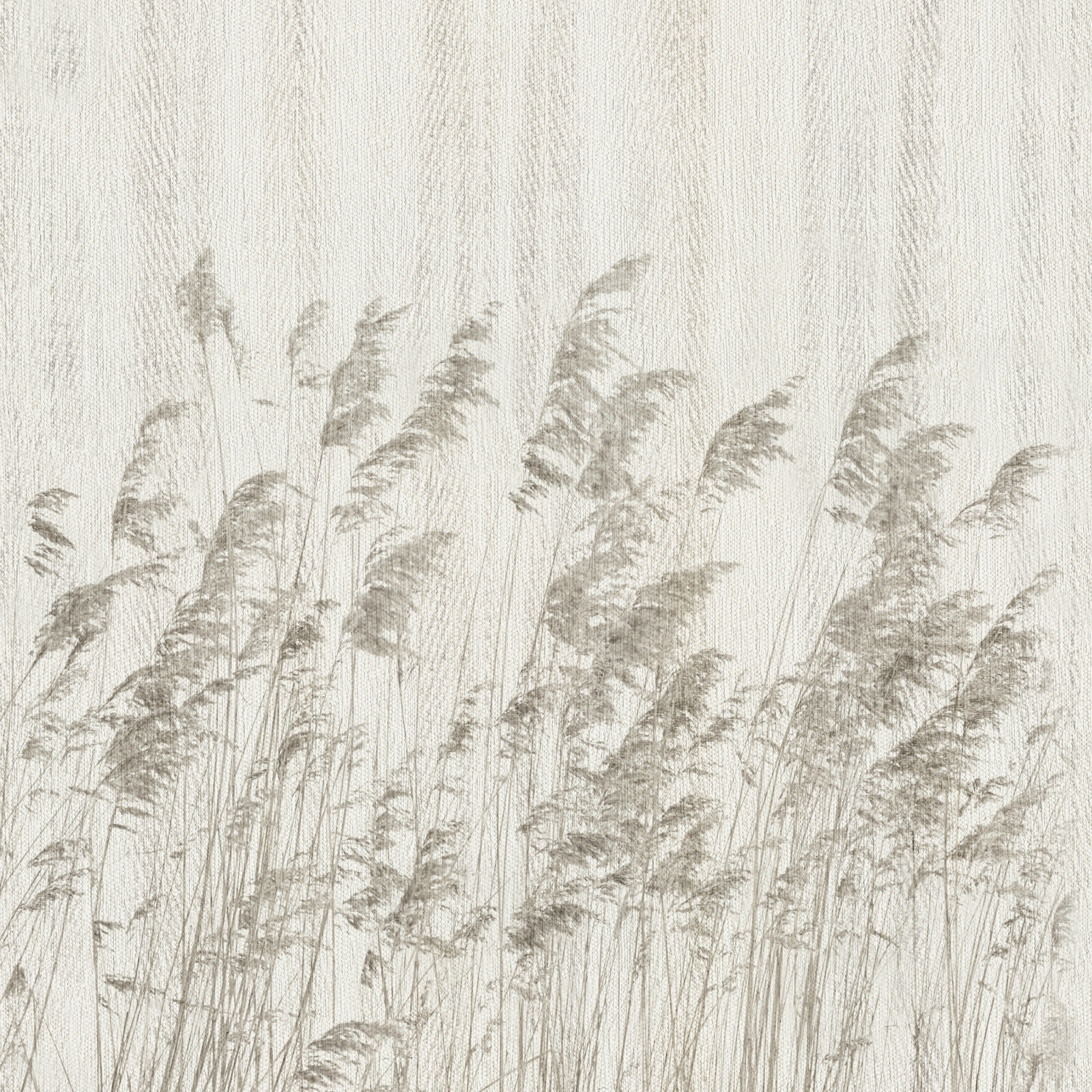 Whisper RoLL – Dekorami