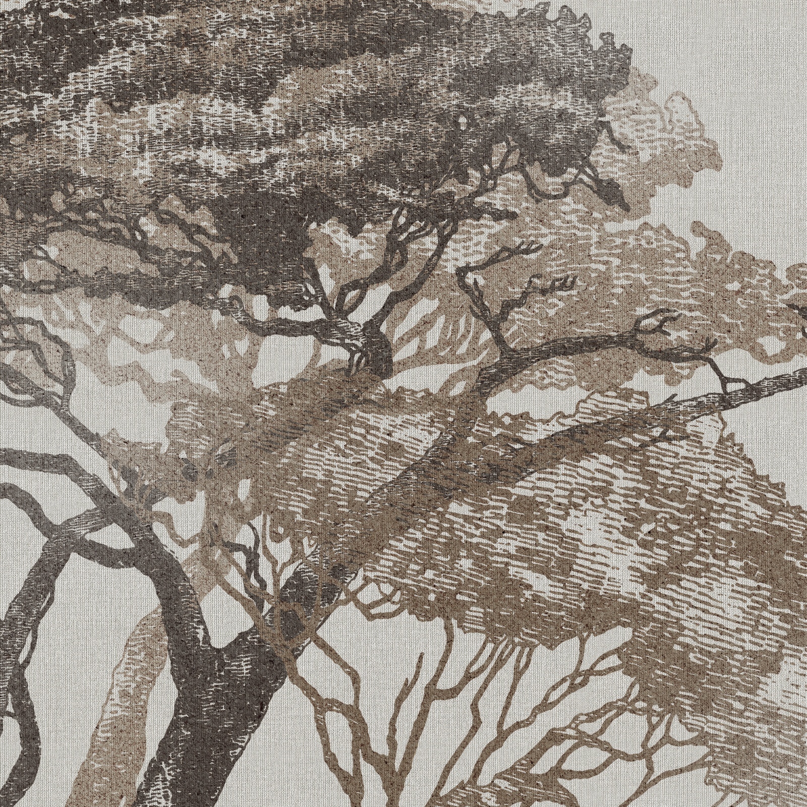 RDF1004 – Dekorami