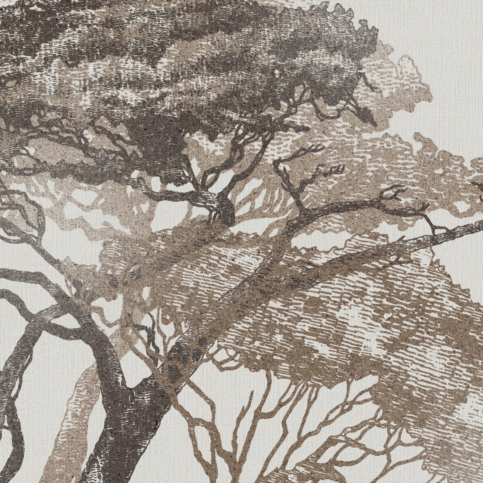 RDF1006 – Dekorami