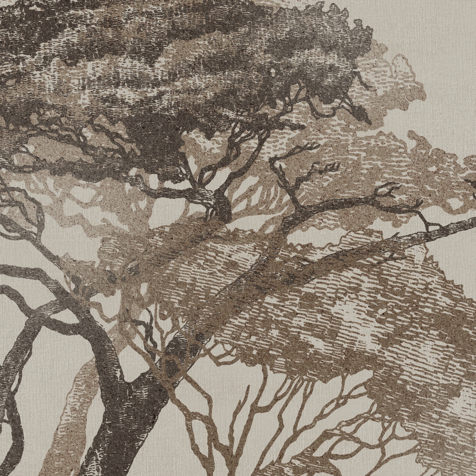 RDF1007 – Dekorami
