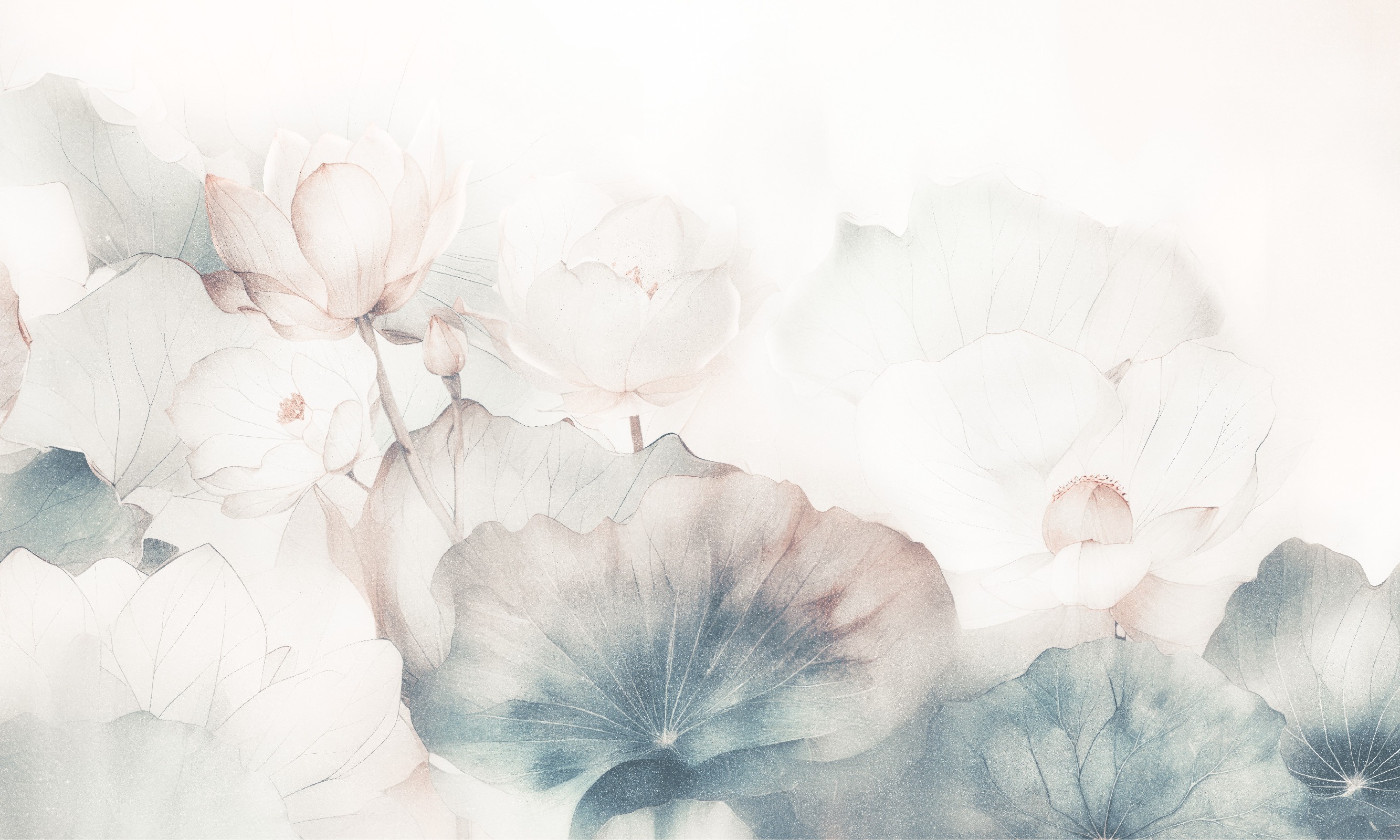 Dolce – Dekorami
