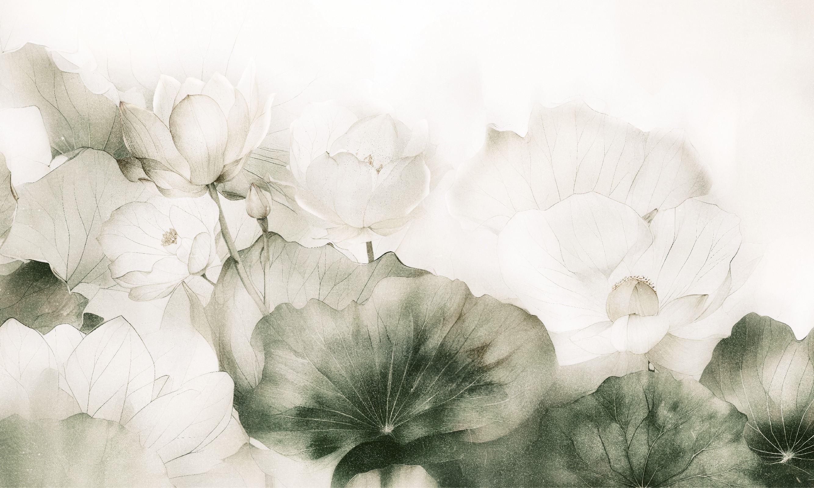 Dolce – Dekorami