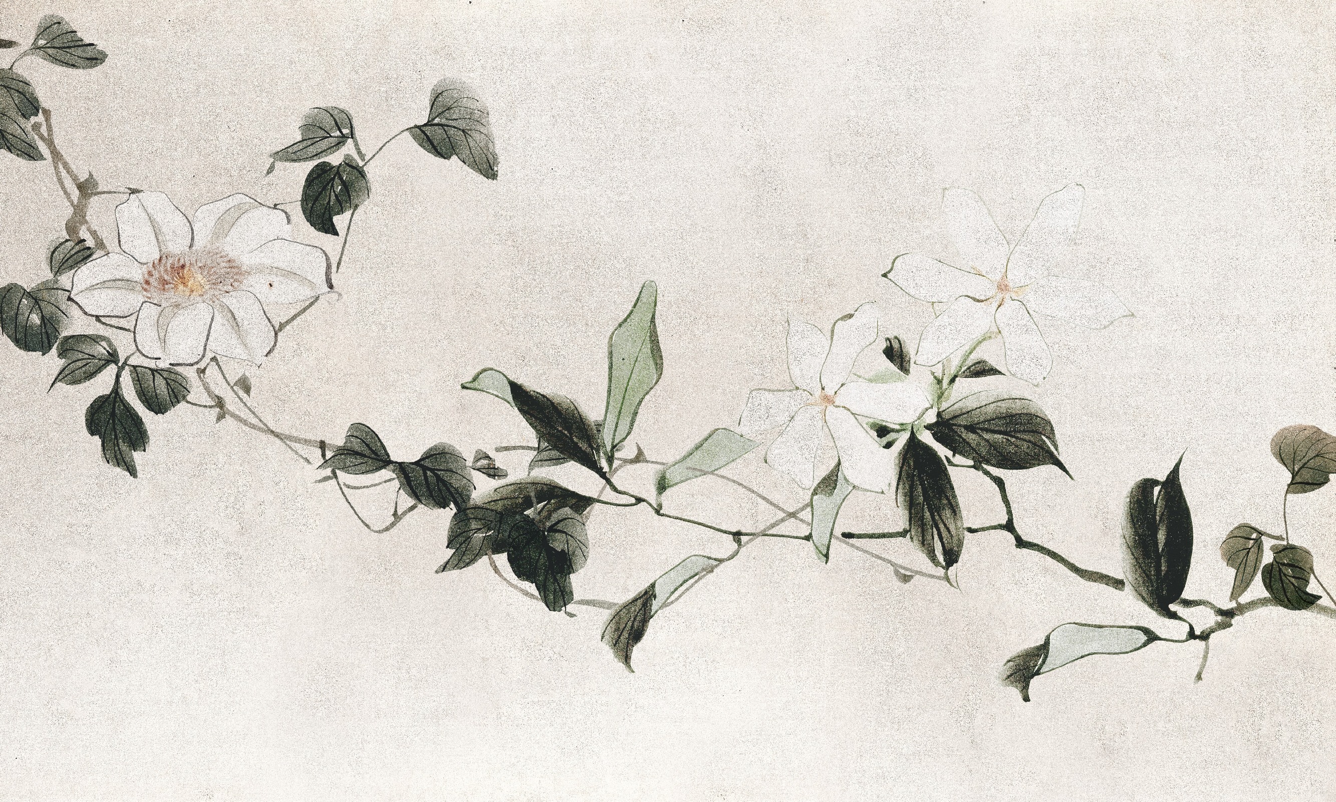 Moya – Dekorami