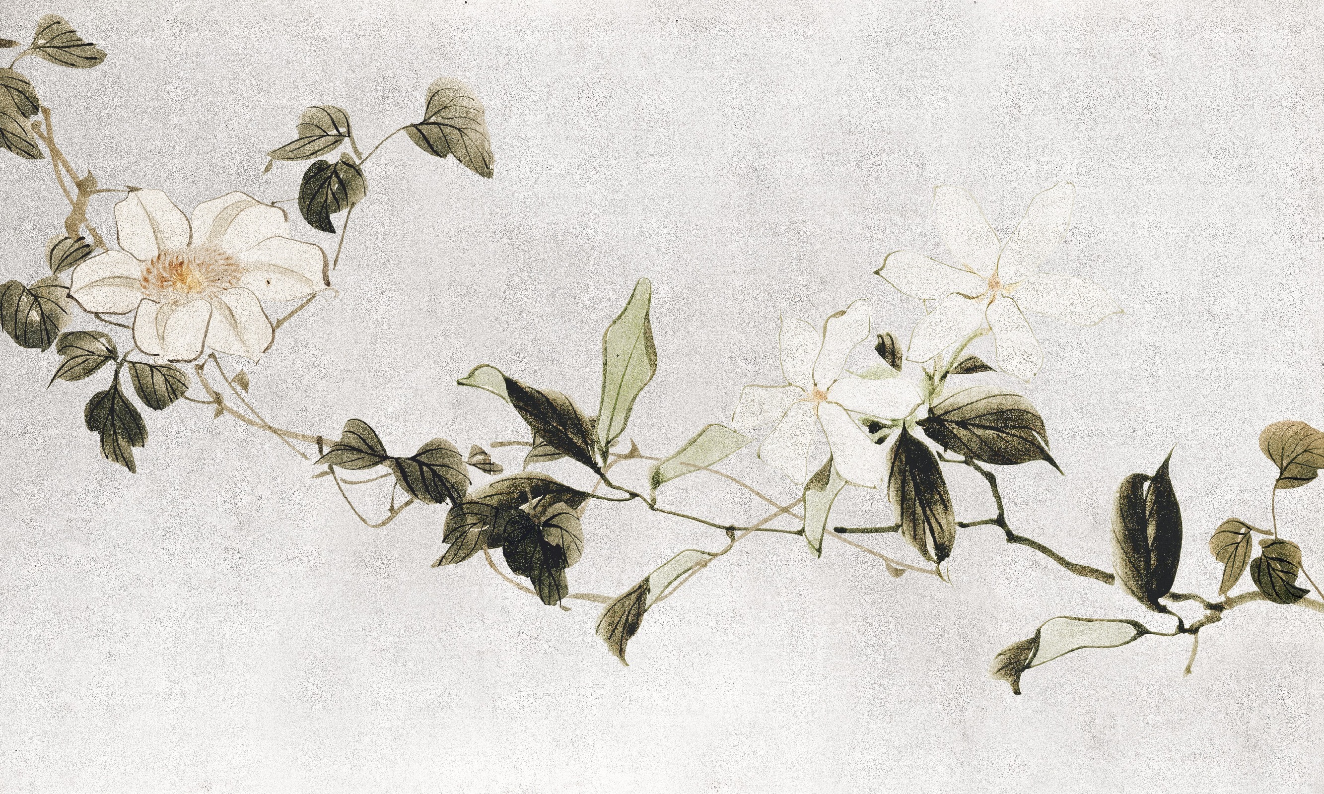 Moya – Dekorami
