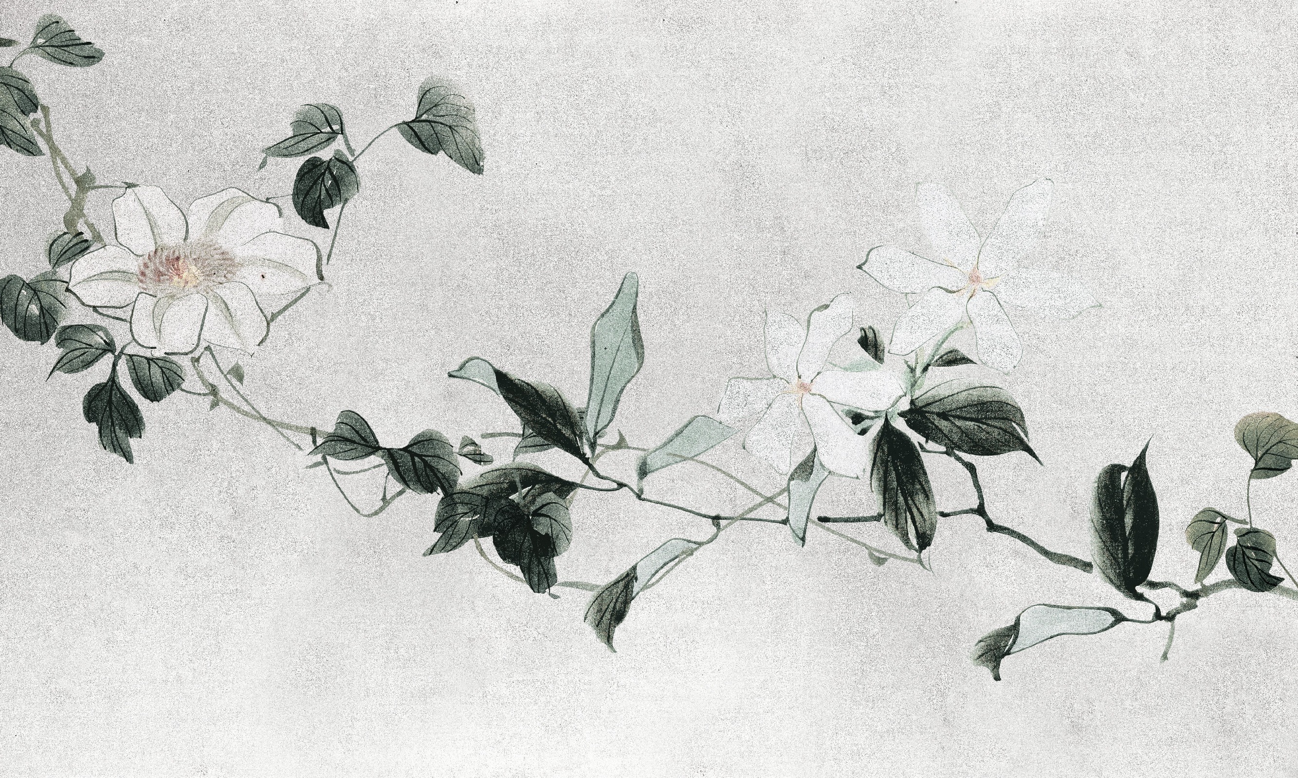 Moya – Dekorami