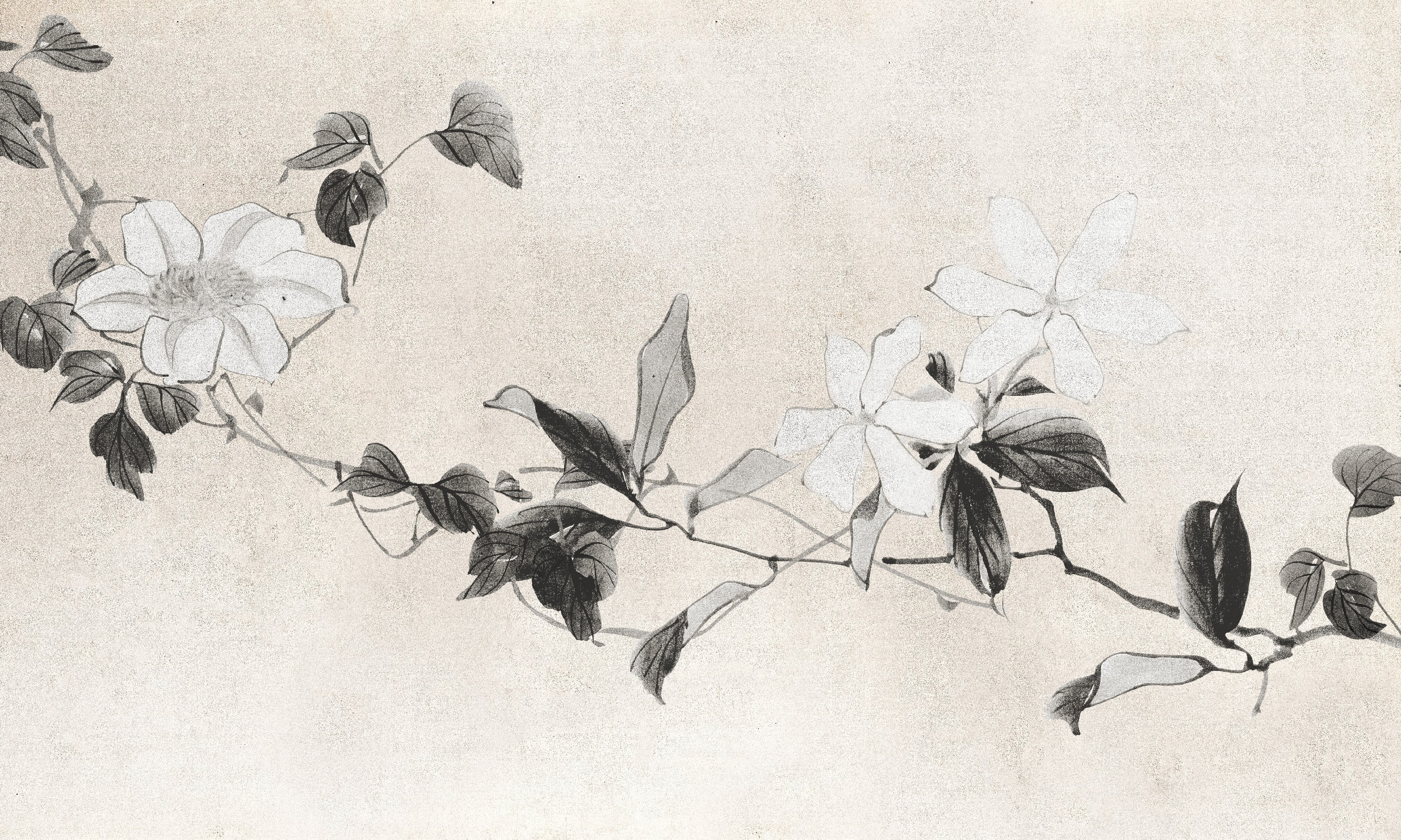 Moya – Dekorami