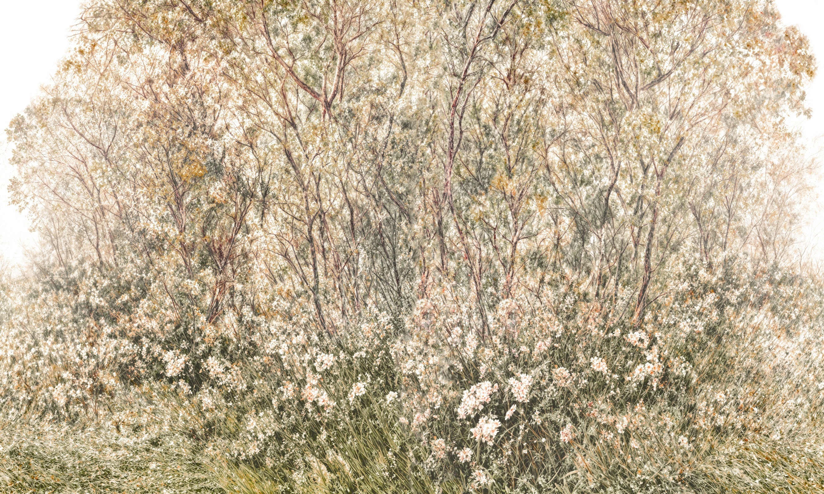 Aprila – Dekorami