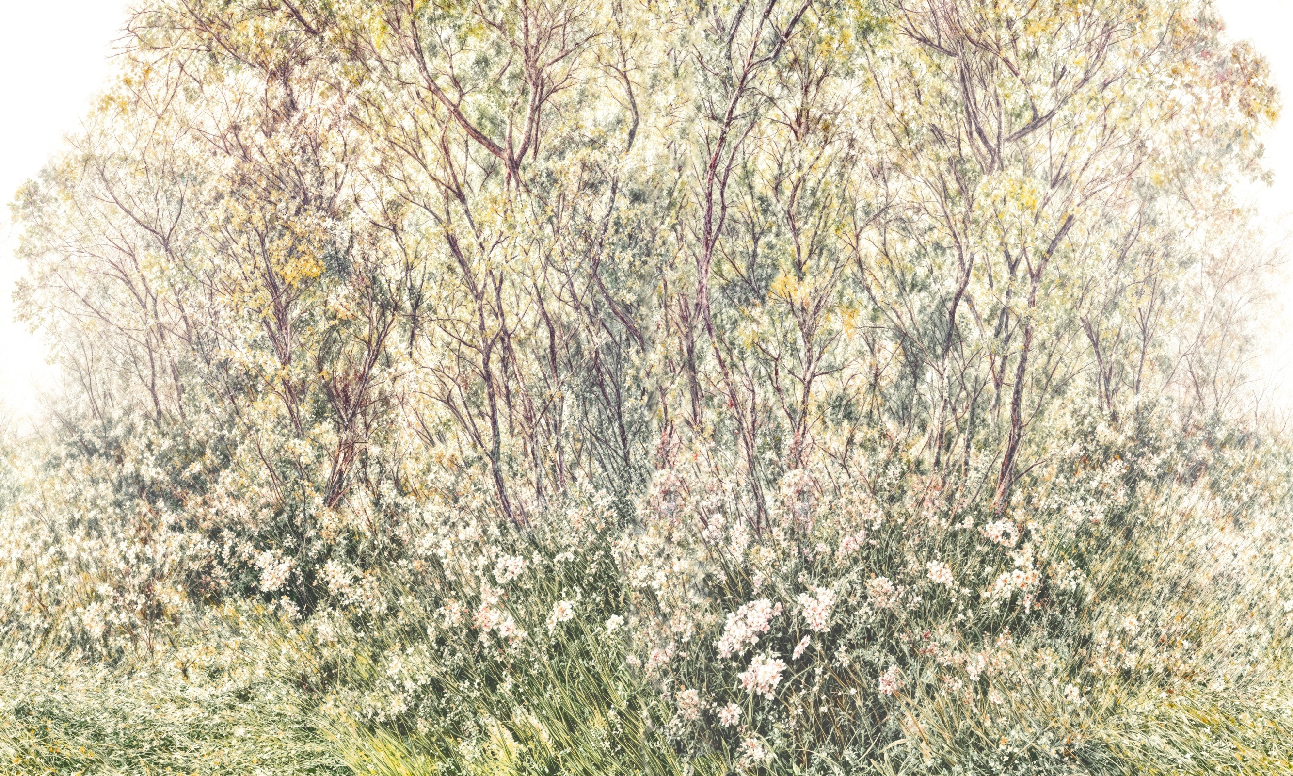 Aprila – Dekorami